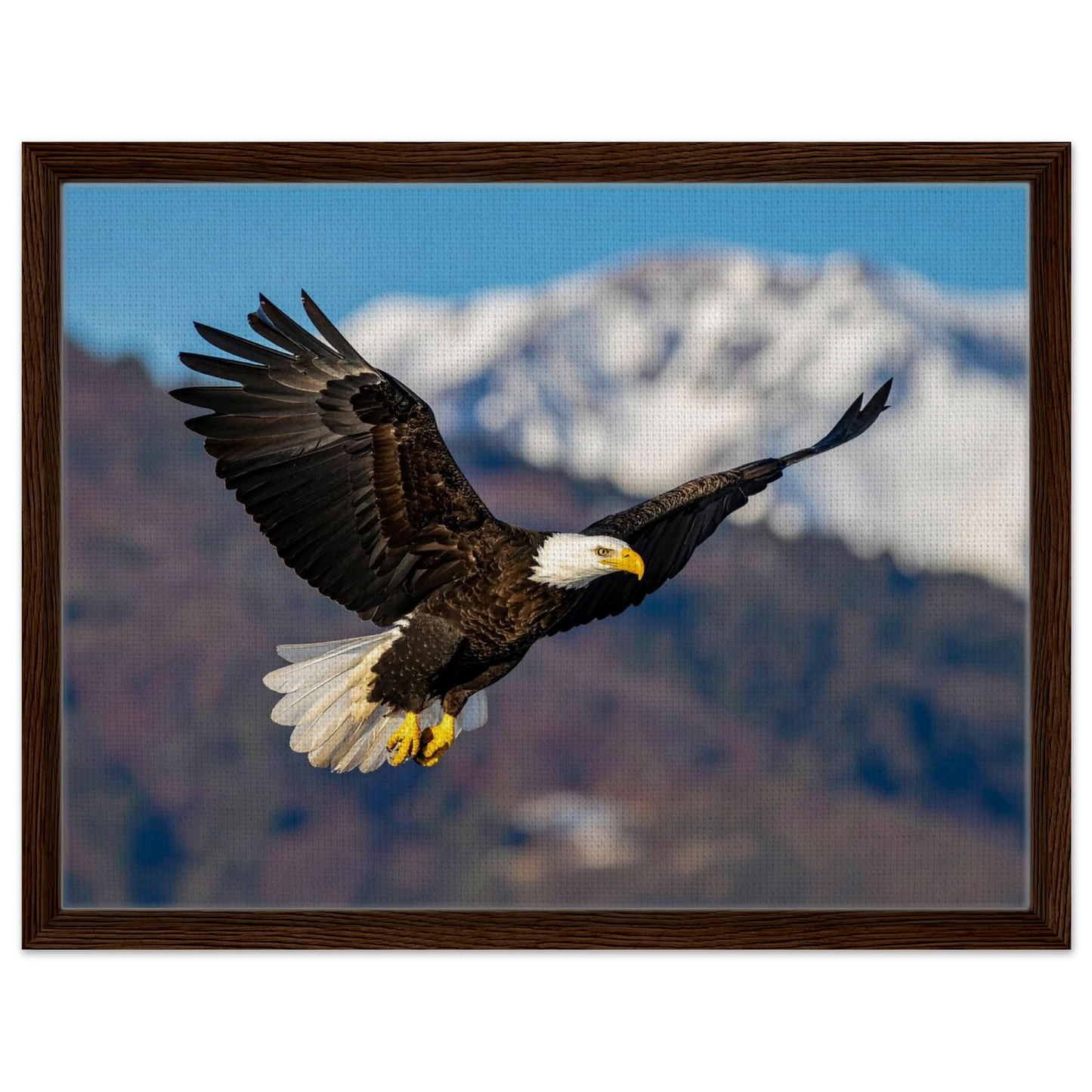 493b1d7b-c1cc-4209-866d-e4807e769202