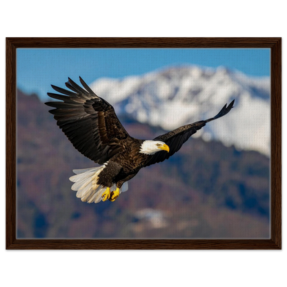 493b1d7b-c1cc-4209-866d-e4807e769202