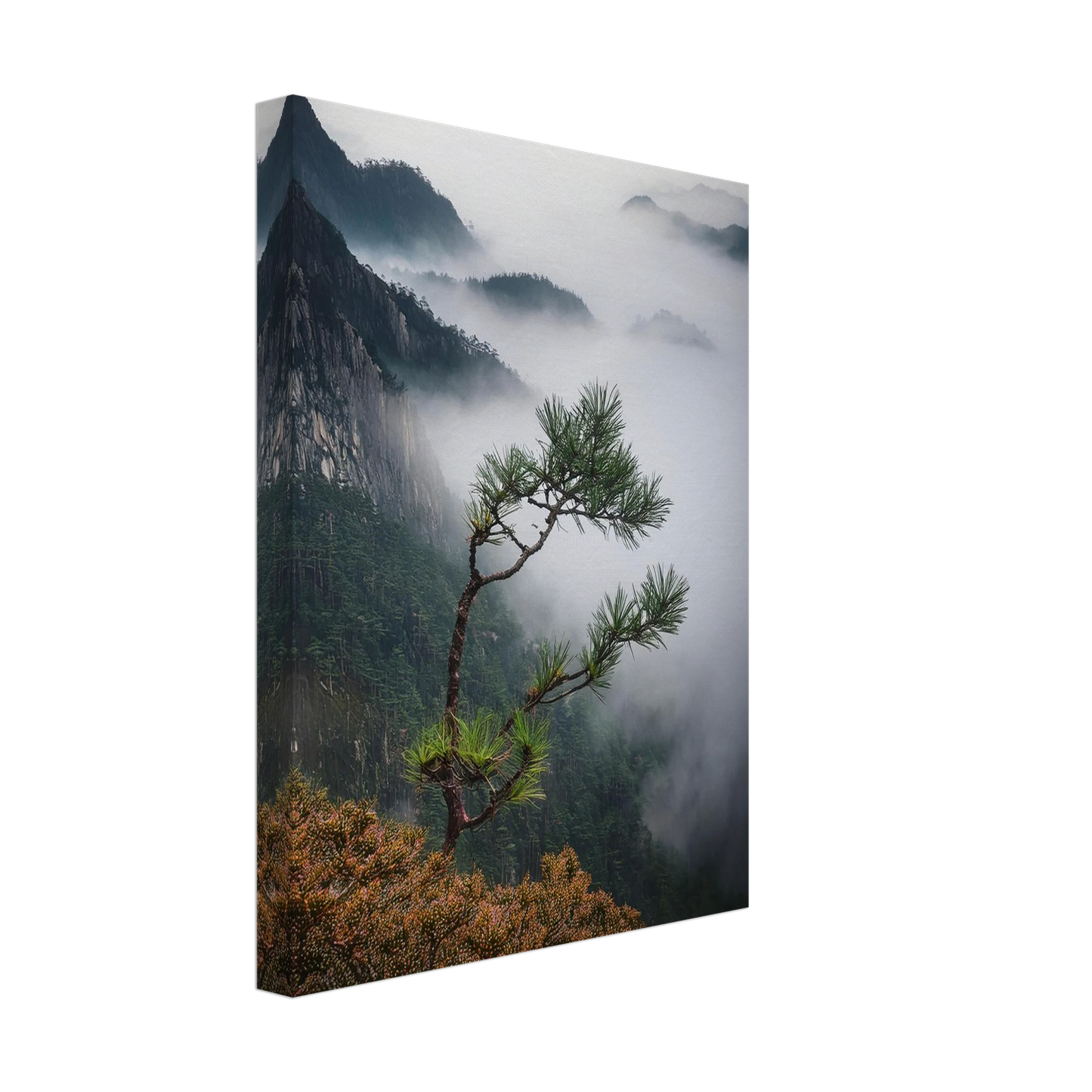 498ce3bd-e8d5-4dbc-a4fd-6f40a8f6f3e6