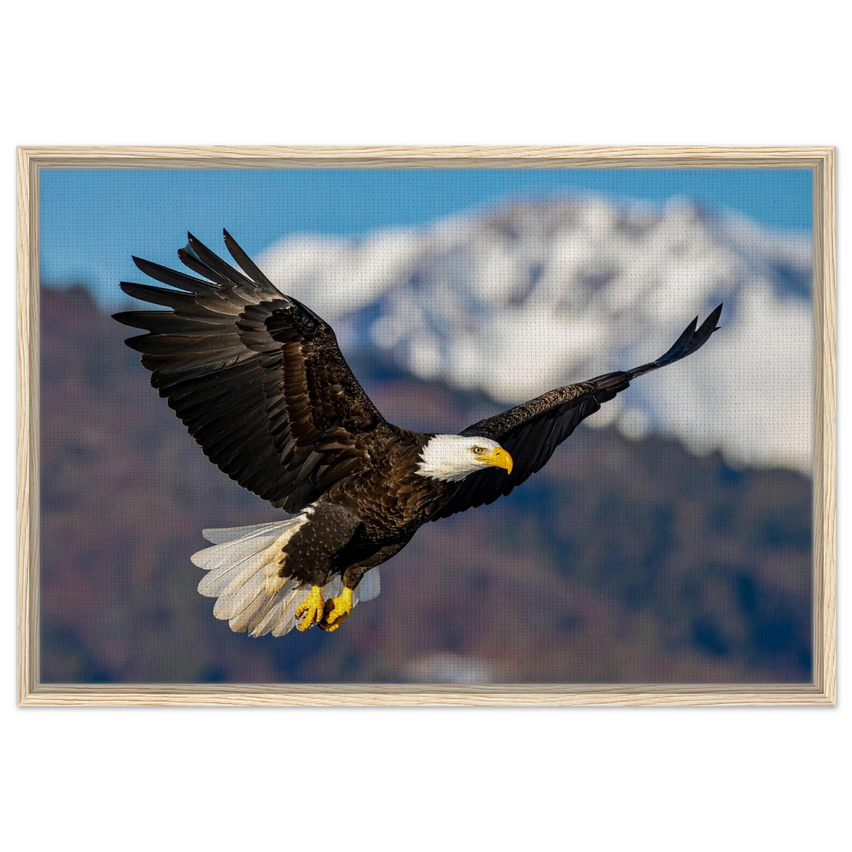 Majestic Soaring Bald Eagle Mountain Wall Art framed canvas in natural wood frame