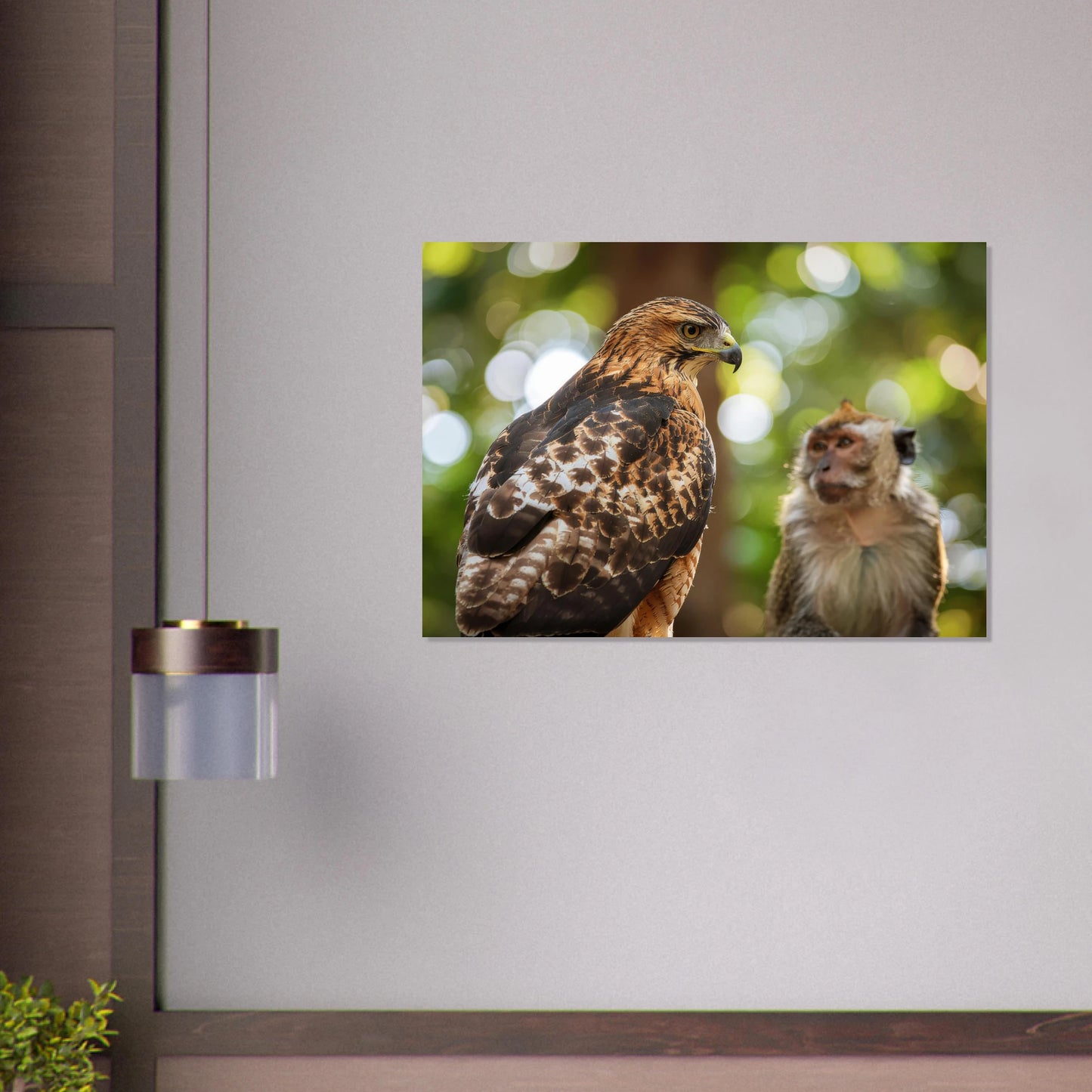 A dramatic and detailed  realistic picture of a Red Tail Hawk perched high, observing a monkey in front of it within a forest setting.