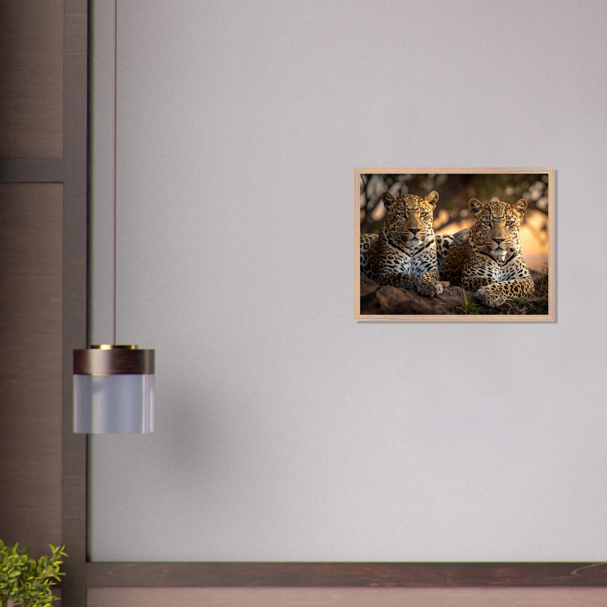 508ed3d3-3a4f-44df-aeb7-a1cc552db472