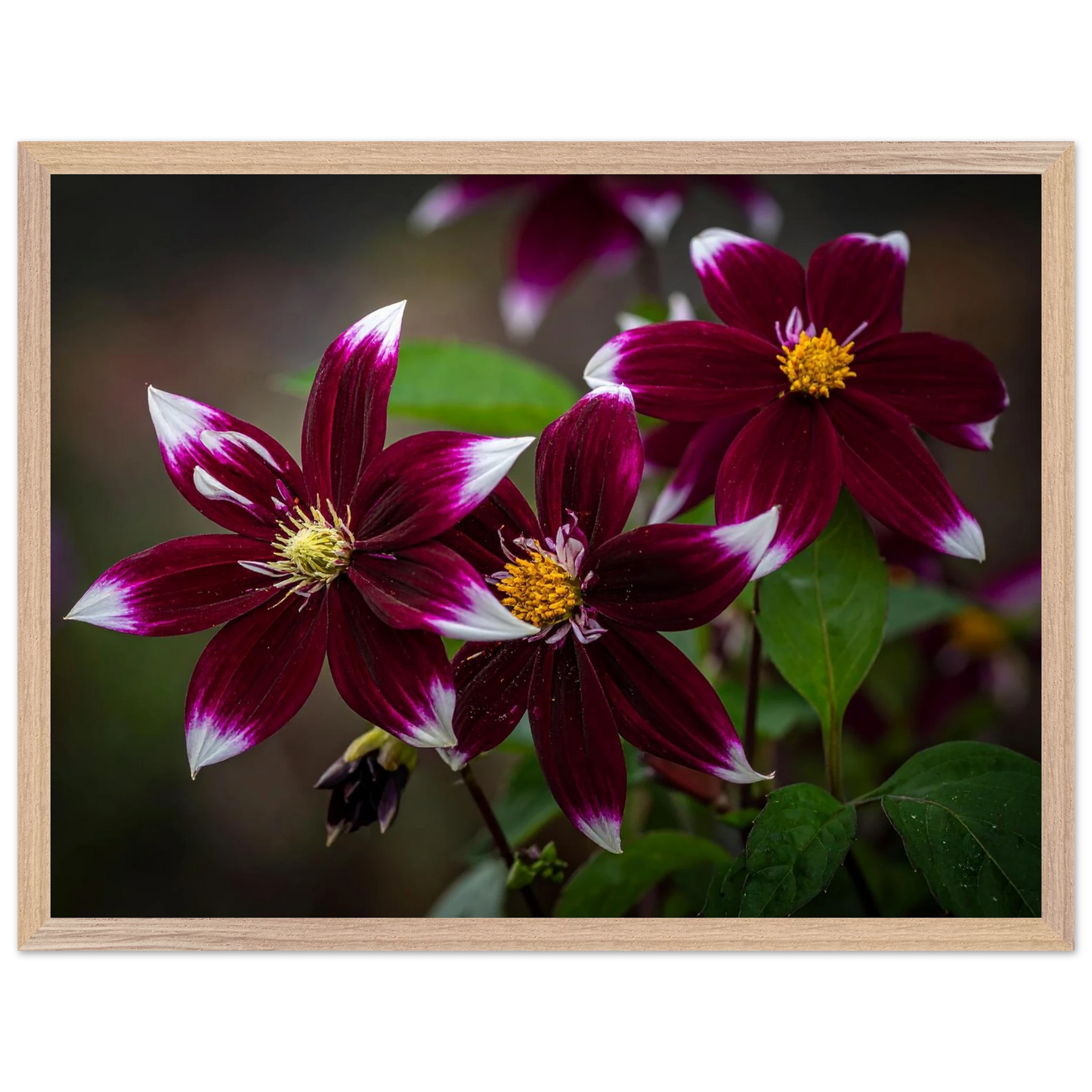 522885ab-6a07-44db-8ad4-5b785c4bf8a2