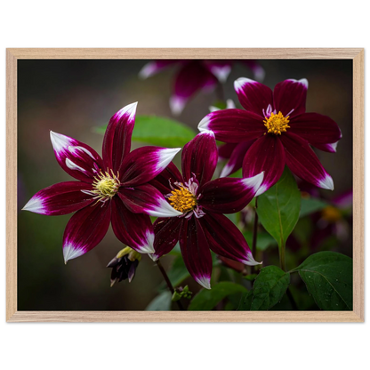 522885ab-6a07-44db-8ad4-5b785c4bf8a2