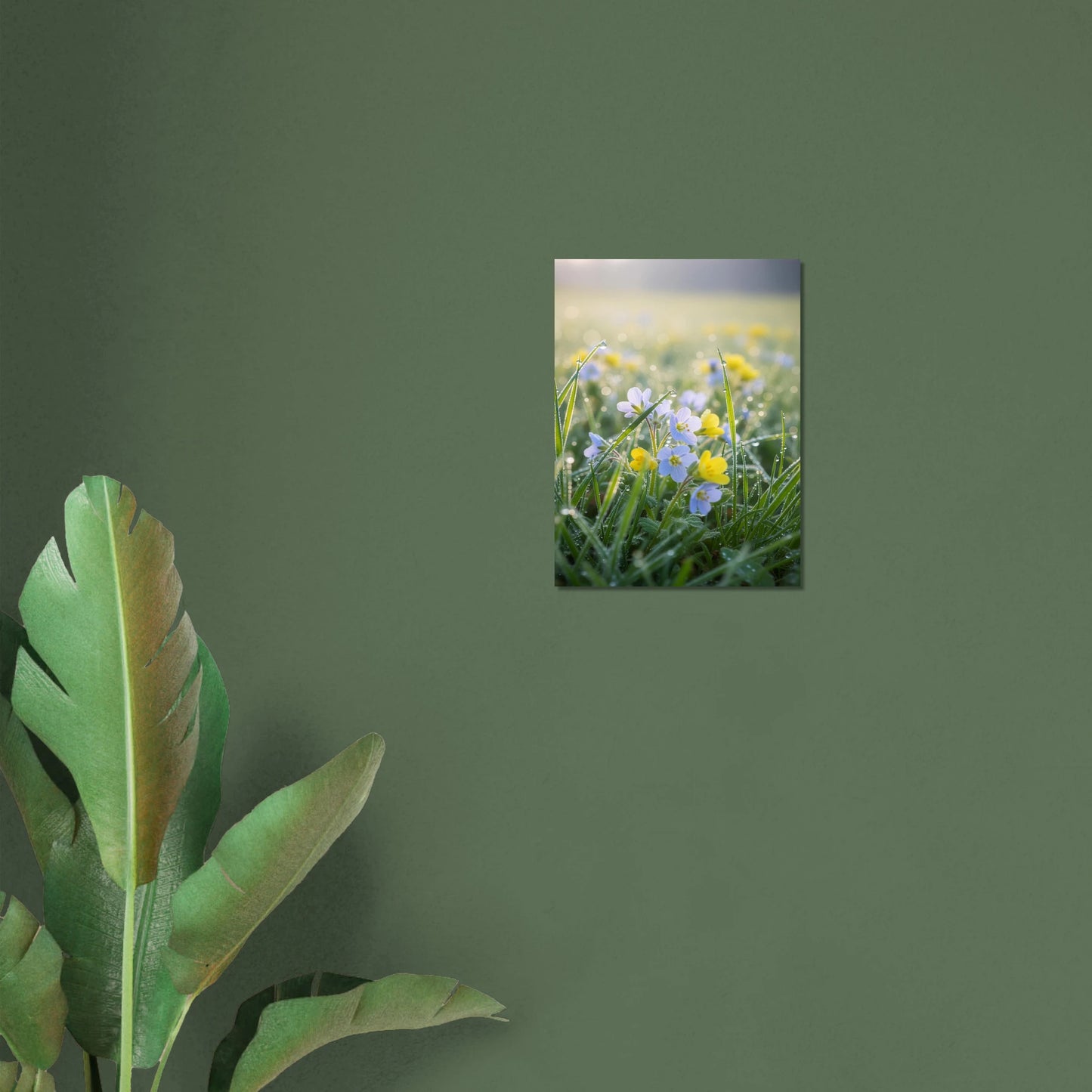 545f07f6-8c5d-4a24-a599-22e42cdf86f1