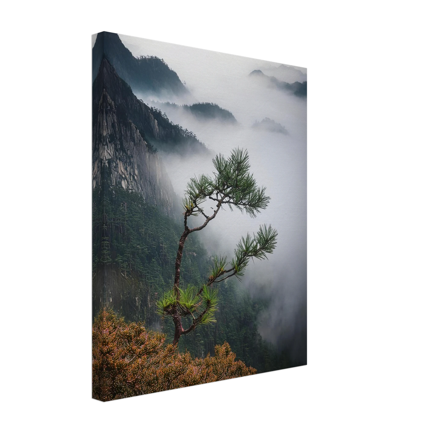 54cde8a2-1322-498a-9d85-f27b555cc439