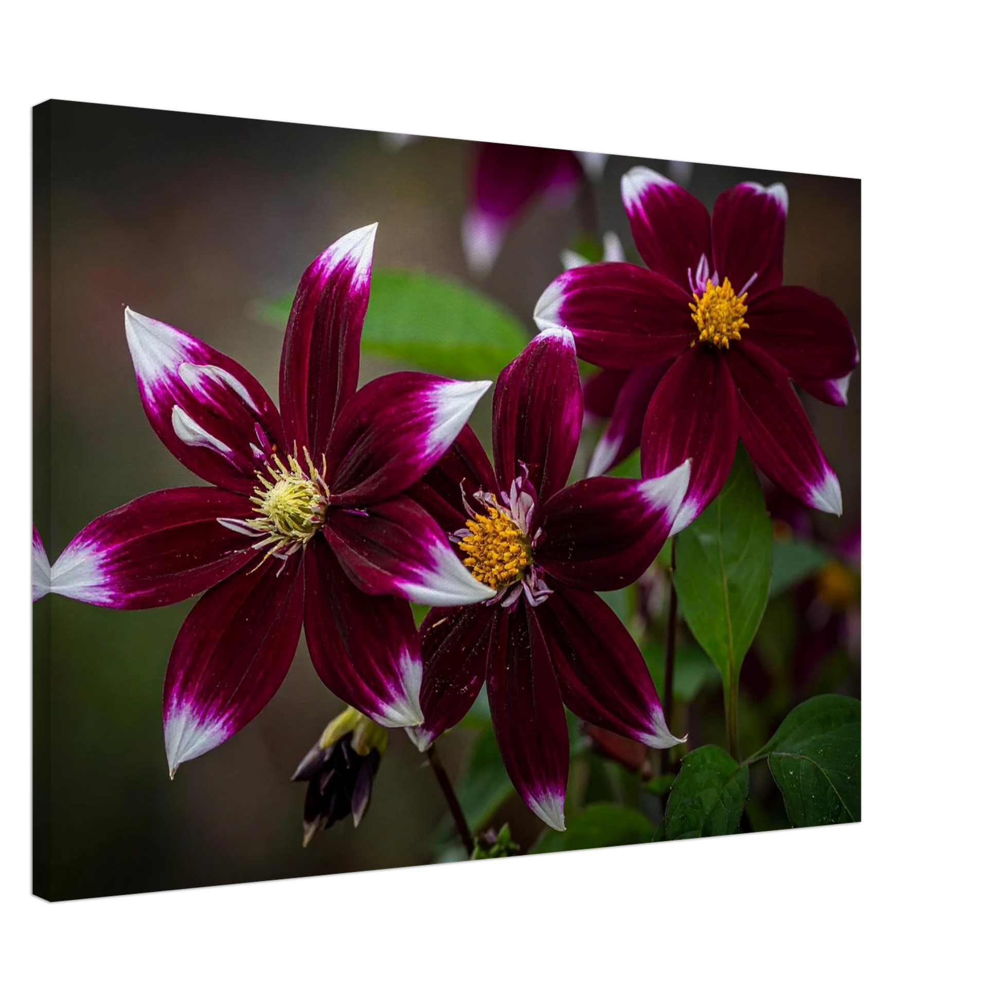 56b849bb-b77a-45cb-b694-a0d5c4db6cf7