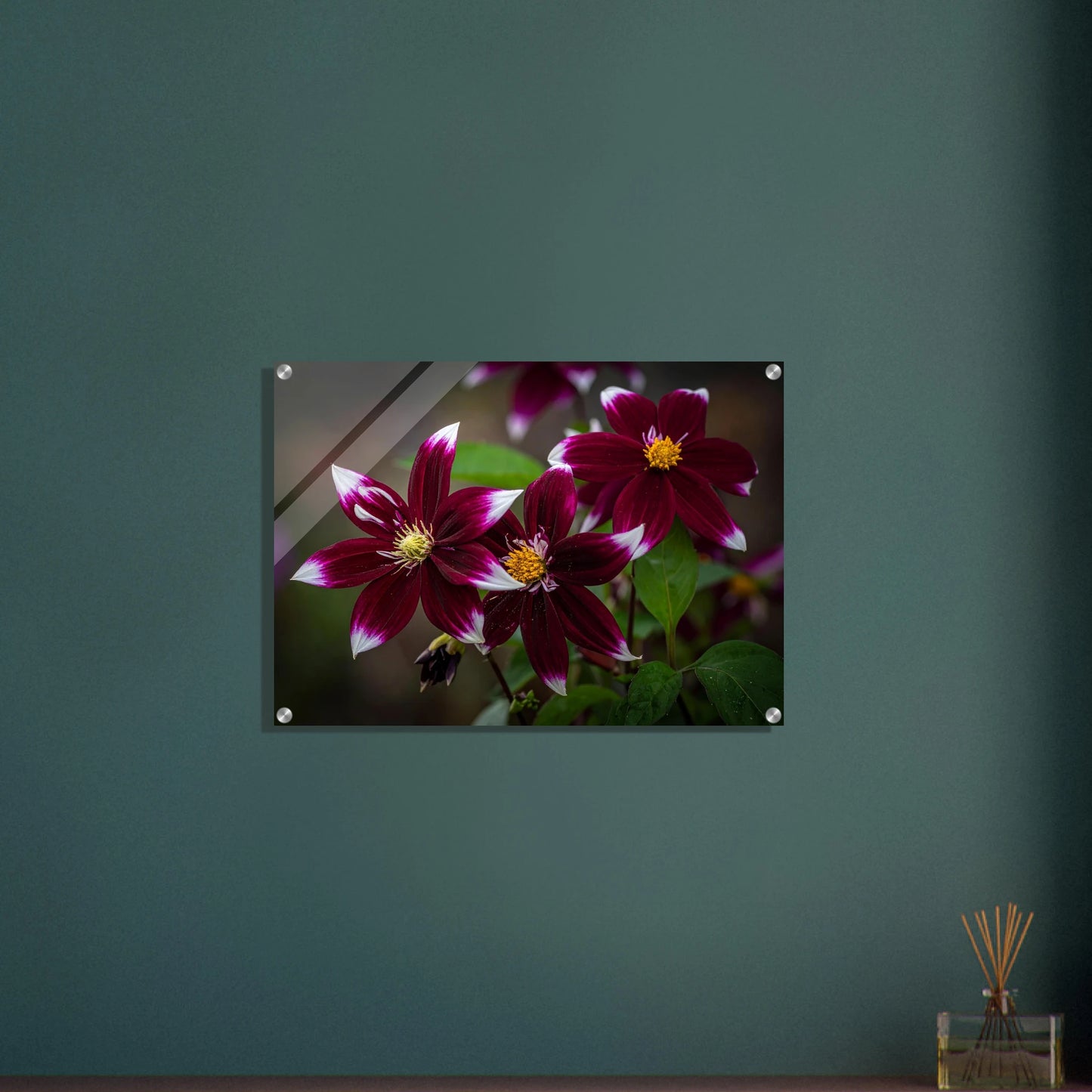 571ce048-a3a8-4746-a355-267a2fdf2f34