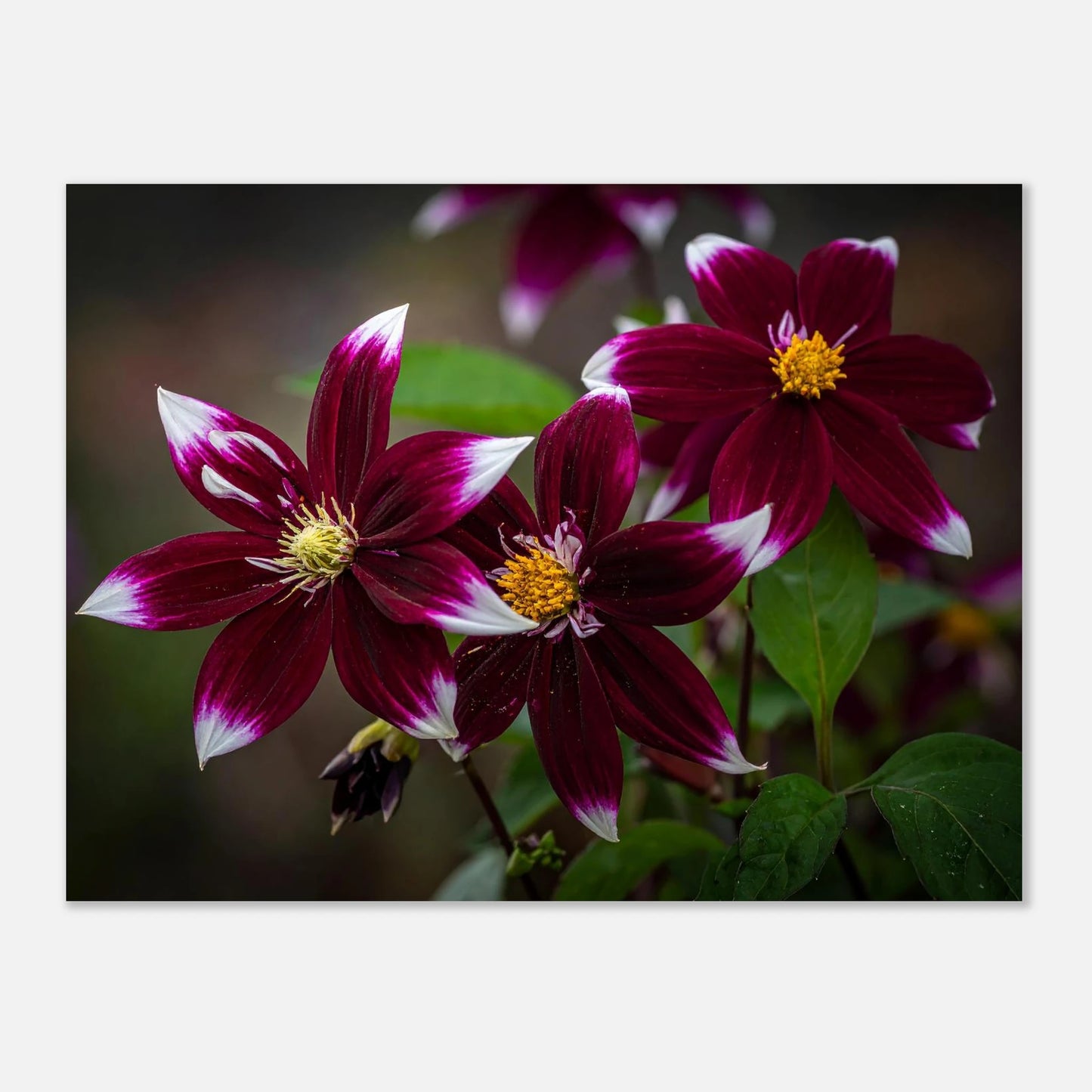 584402b2-1ff0-4efa-85ba-d4299863e7be