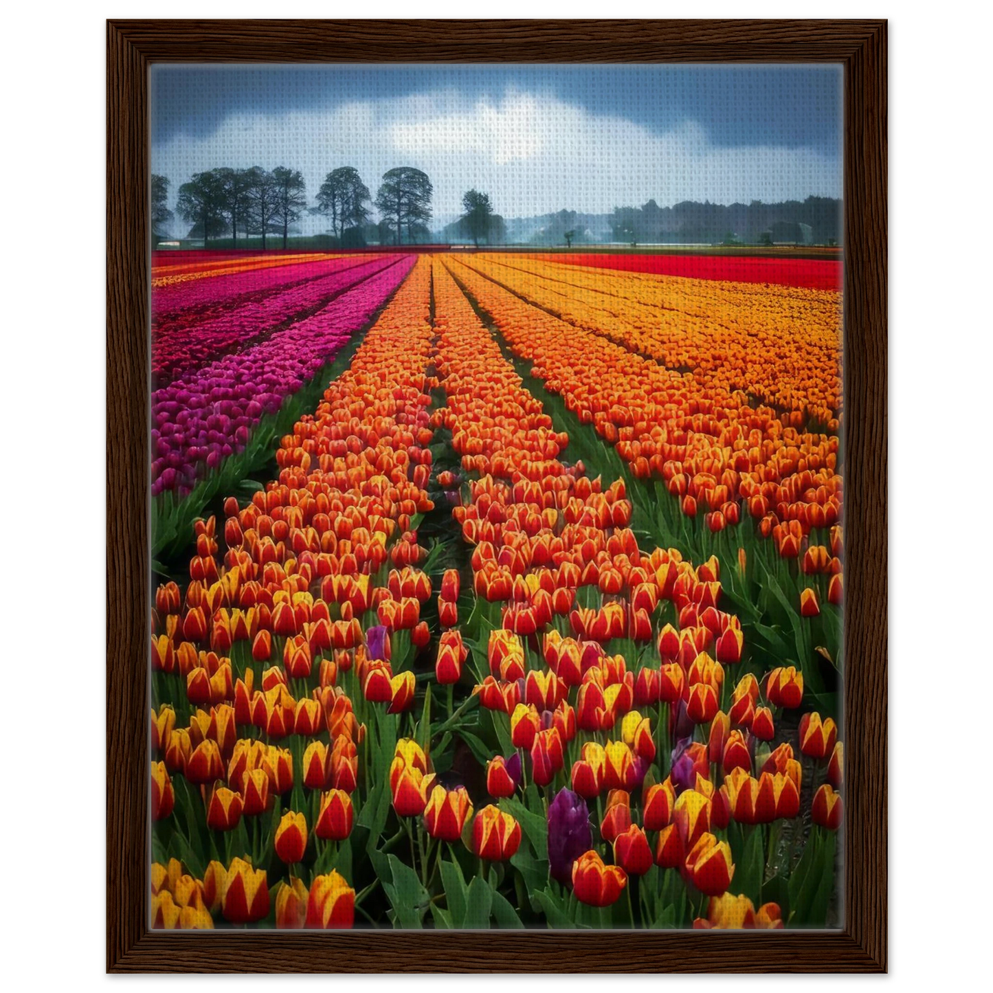 5a81c648-4b76-4abe-9c97-1e02dd13ecc7