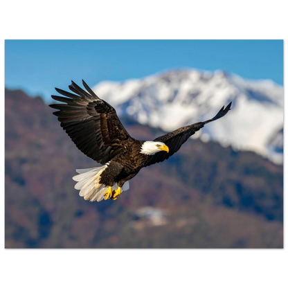 5ae4e72a-3930-4bcc-bd3d-1677571ad9ad