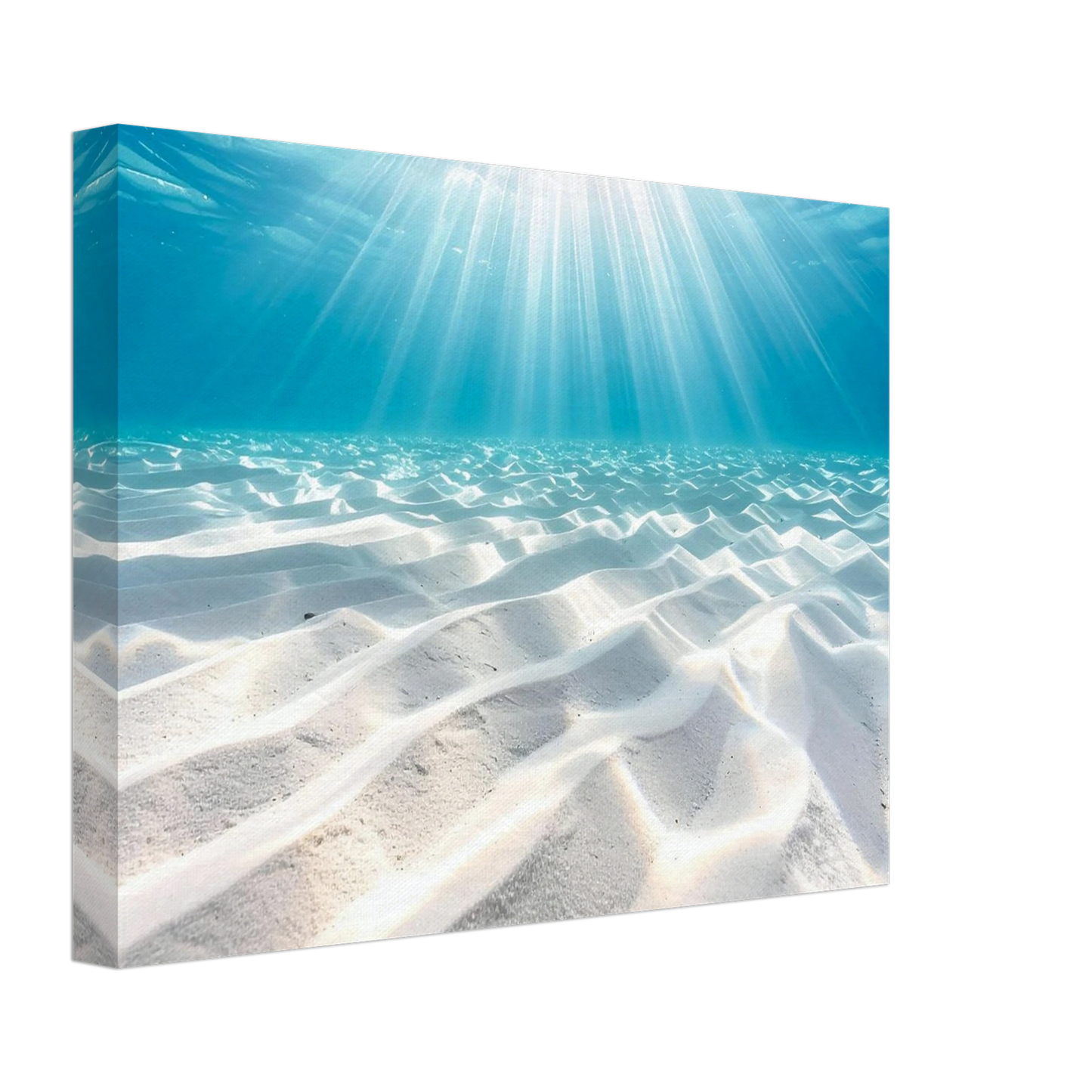 5aedd59f-eadc-4619-8c4f-a3311dc54490