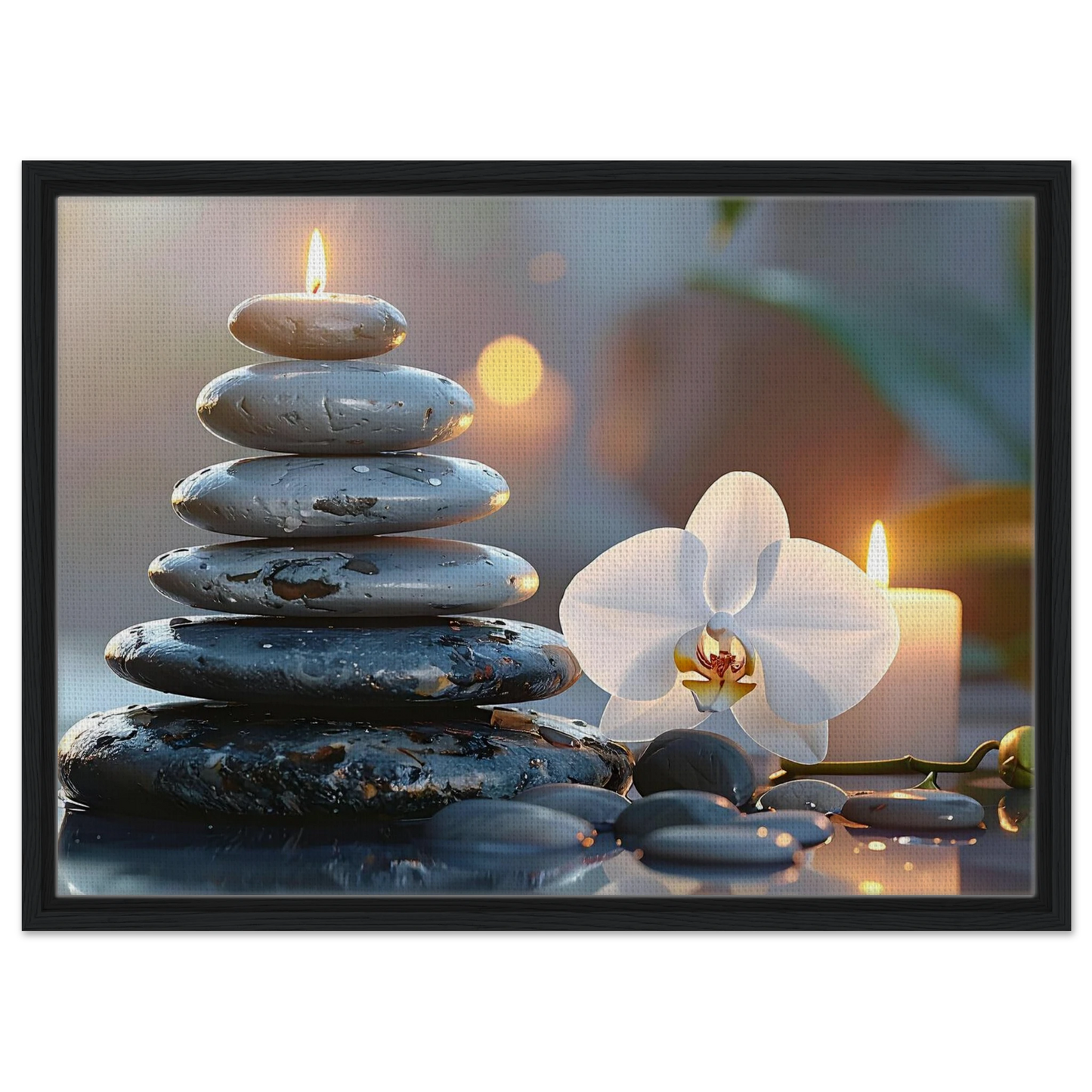 5cbaee7d-67e7-40a5-a598-44d4efc58d6e