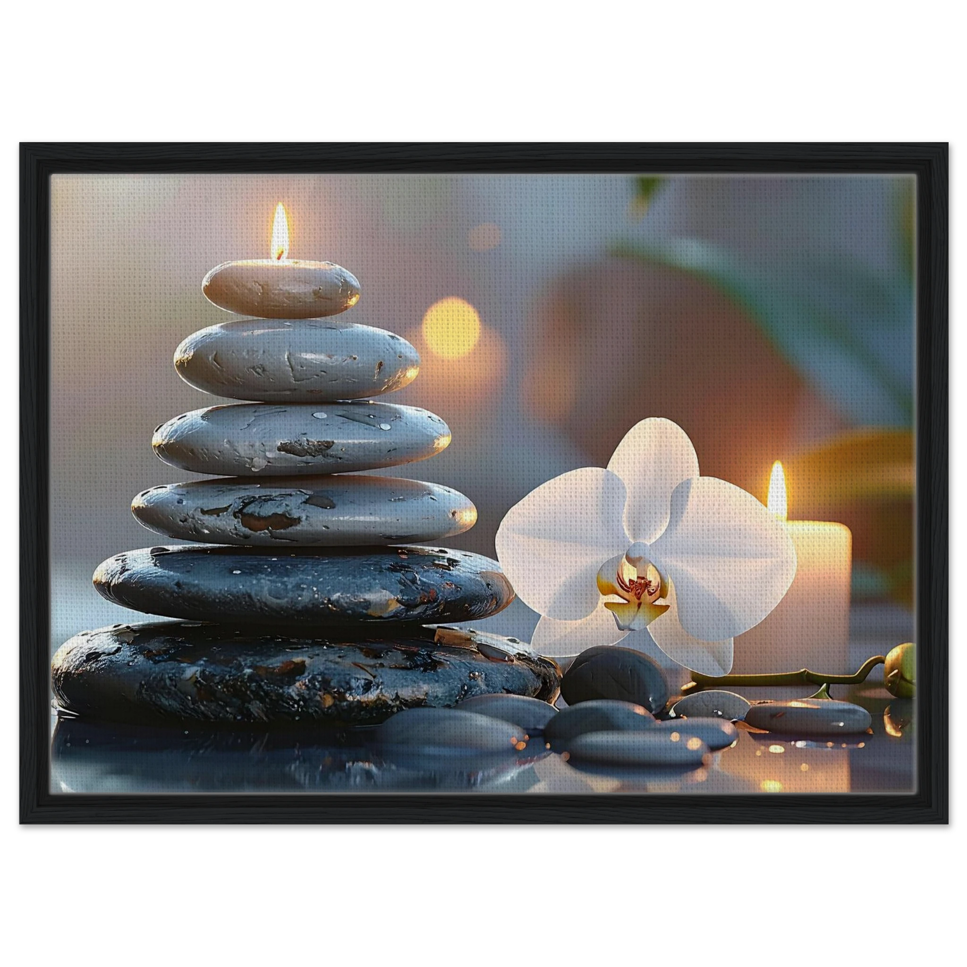 5cbaee7d-67e7-40a5-a598-44d4efc58d6e