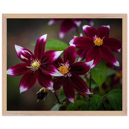 5d9b7490-9383-47bb-a830-ab76e1f3d917