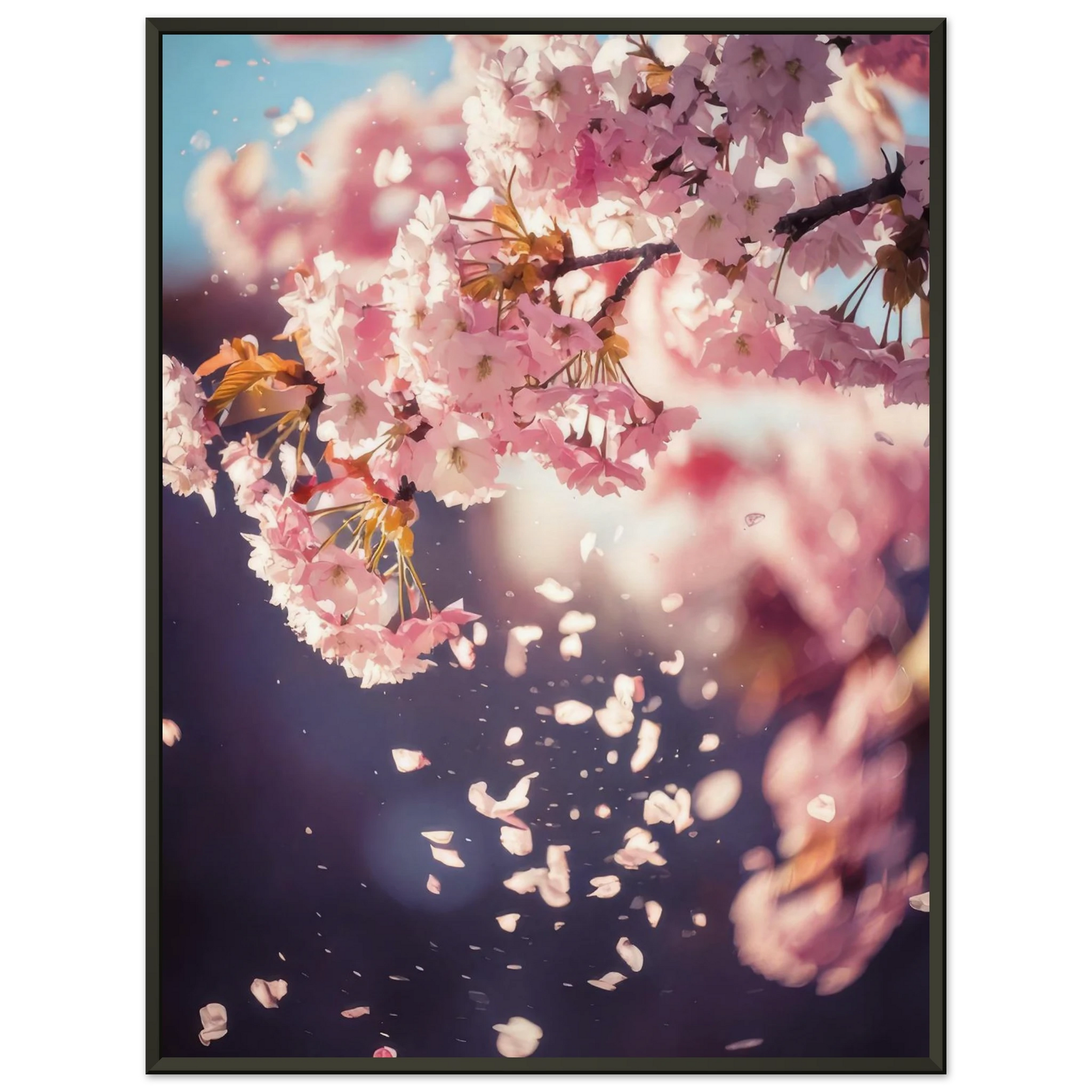 5e756a04-aac6-4f03-aa3f-8f380ad47576