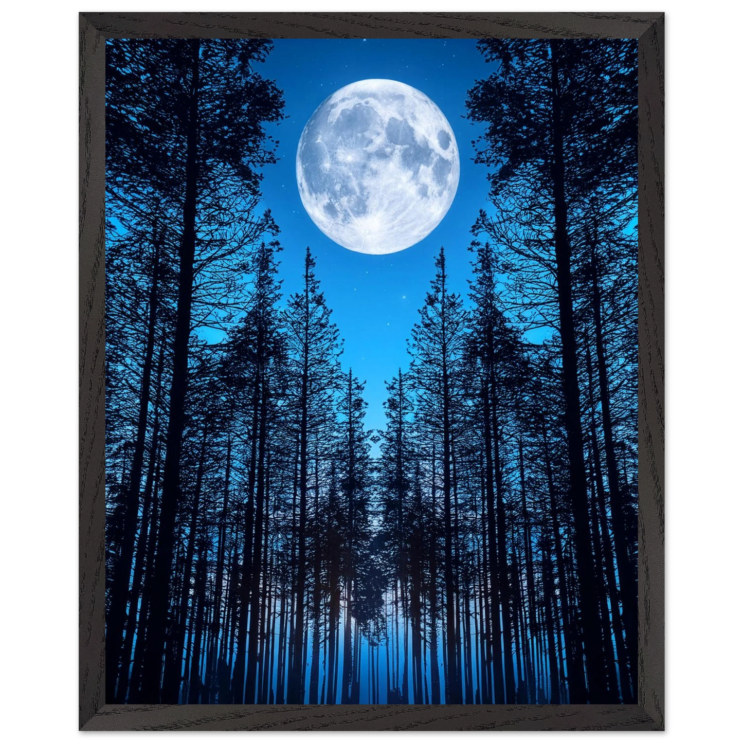5fb217f9-336d-4ebf-8325-f378772f7428