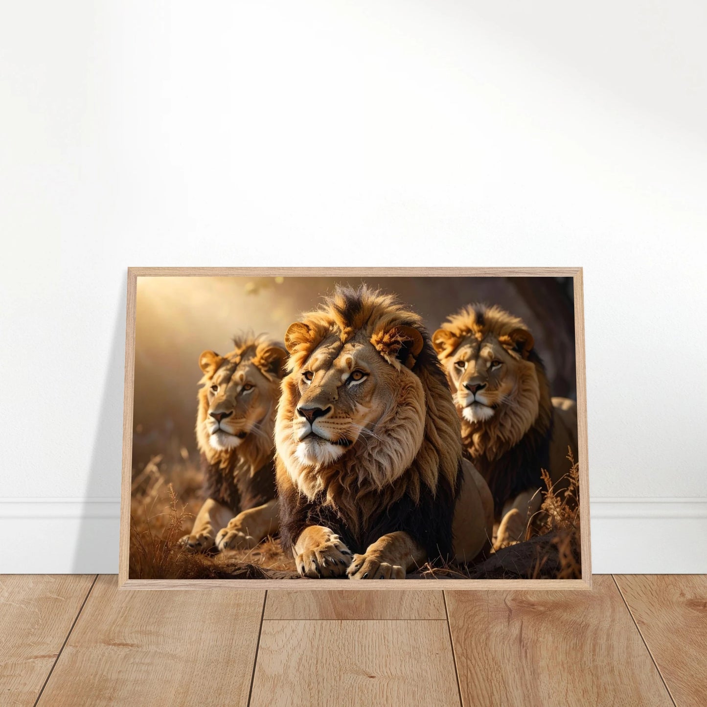 5fd50631-0a78-4d87-9c0a-bd6d47554bfb