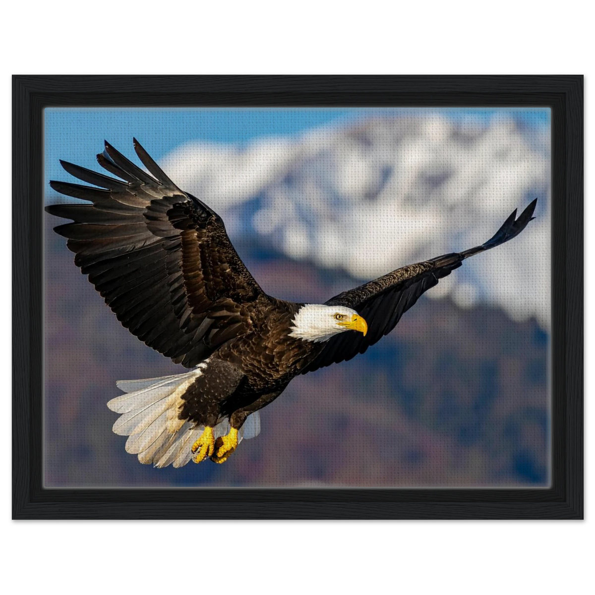 Majestic Soaring Bald Eagle Mountain Wall Art framed canvas in black frame