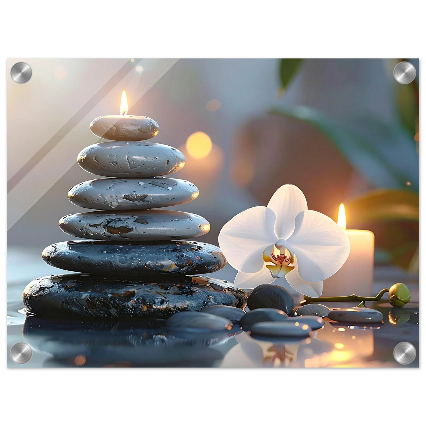 65090884-1171-4c6f-8718-0352b5e0bb0a