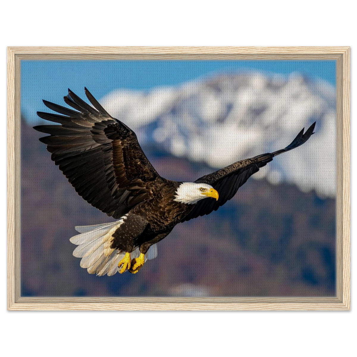 Majestic Soaring Bald Eagle Mountain Wall Art framed canvas in natural wood frame