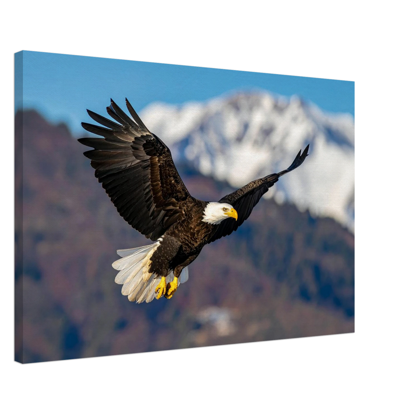 69aab59b-c530-45c5-876b-73ac44e5d833