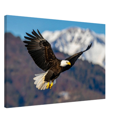 69aab59b-c530-45c5-876b-73ac44e5d833