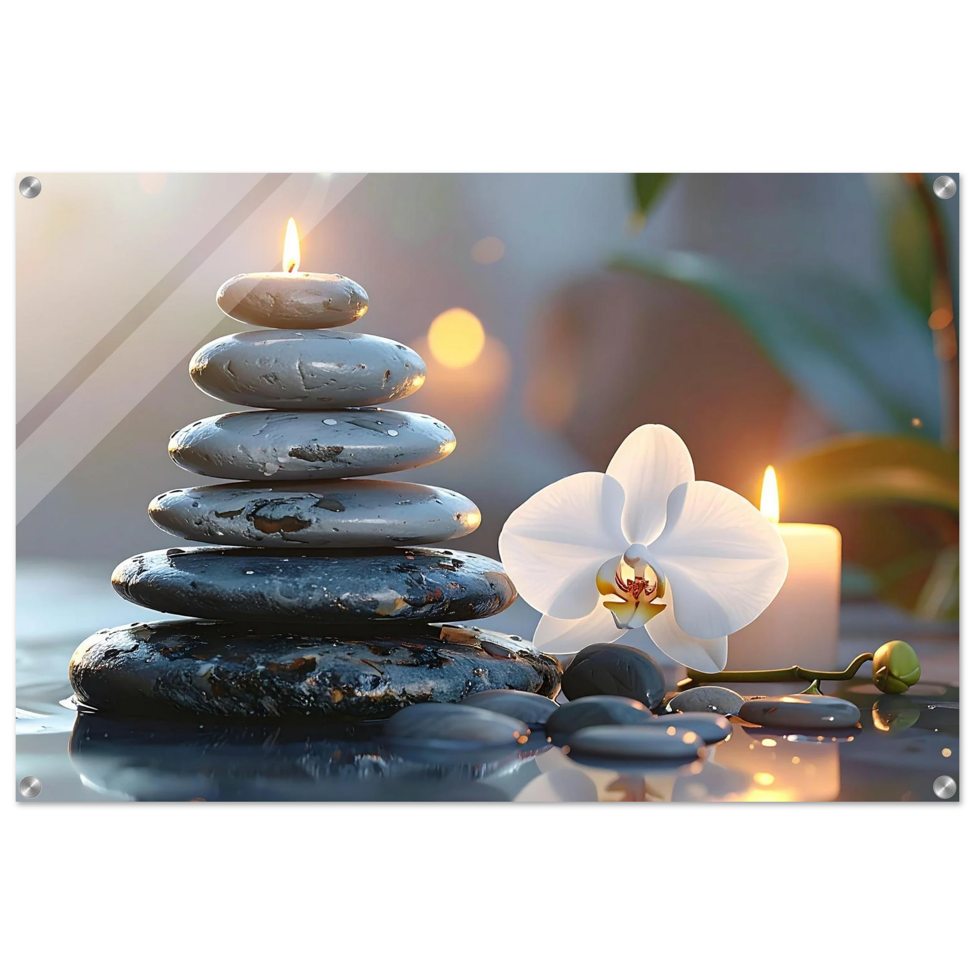 6a5cf369-d578-4105-a03b-c038668567f0