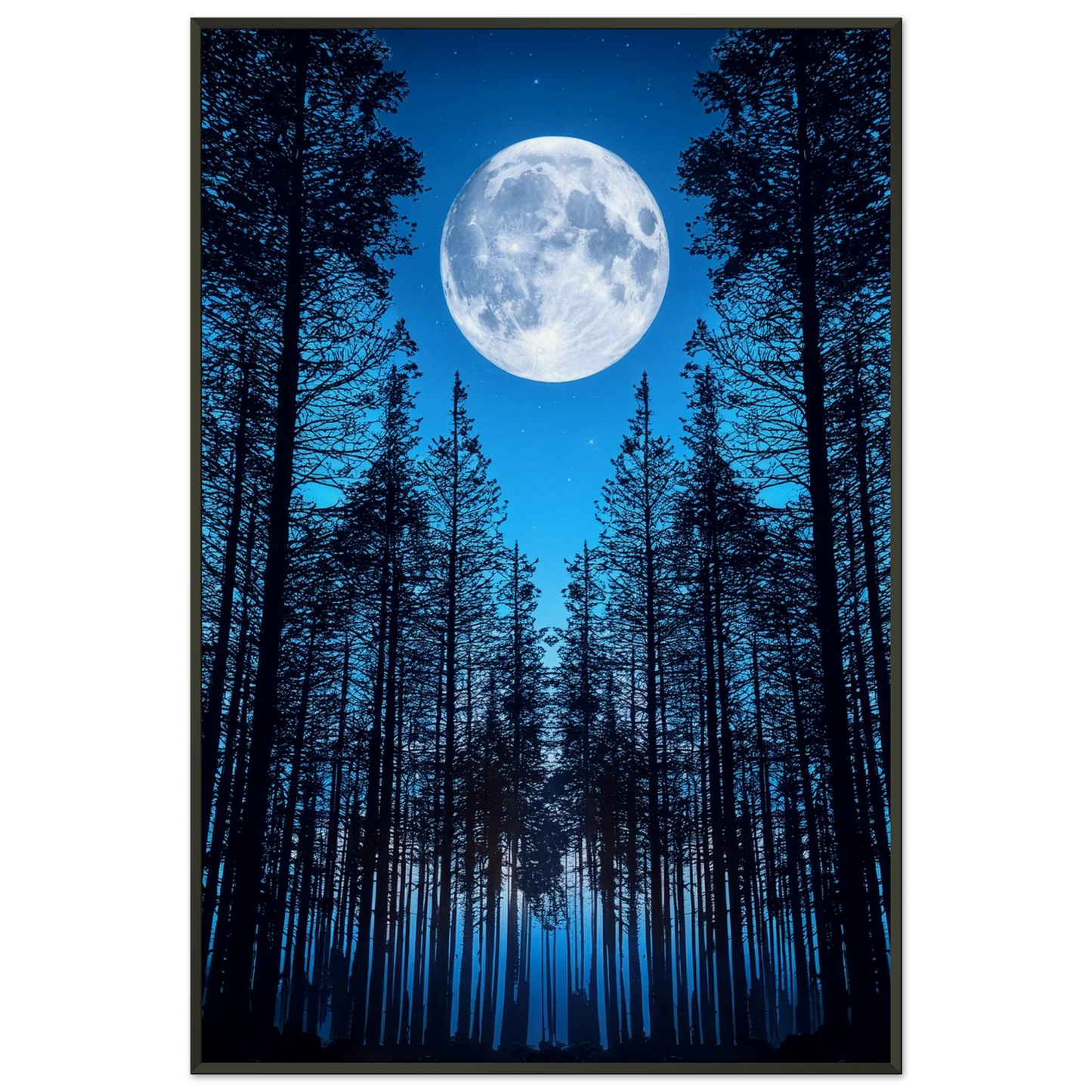 6d33839c-e078-416b-84fd-bed13854c037