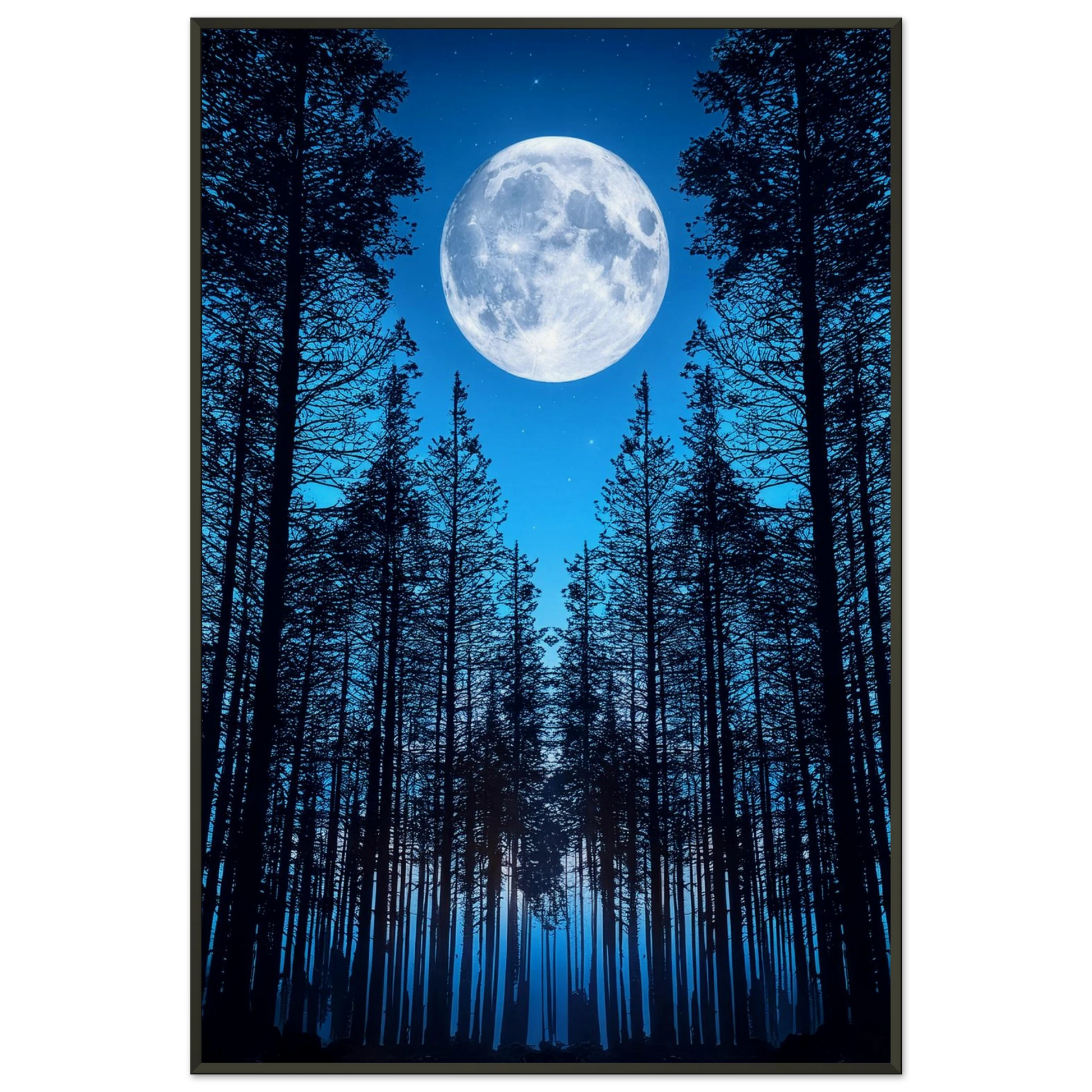 6d33839c-e078-416b-84fd-bed13854c037