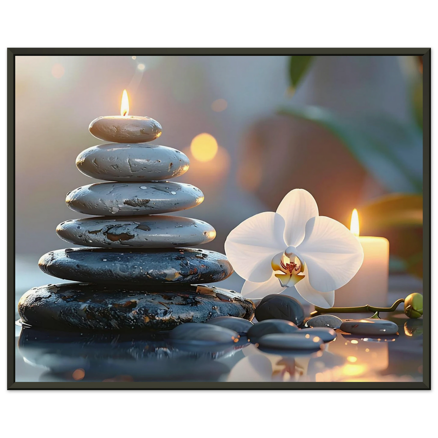 6f0e6bc2-cef3-474d-a6d4-dccd4ed9584b