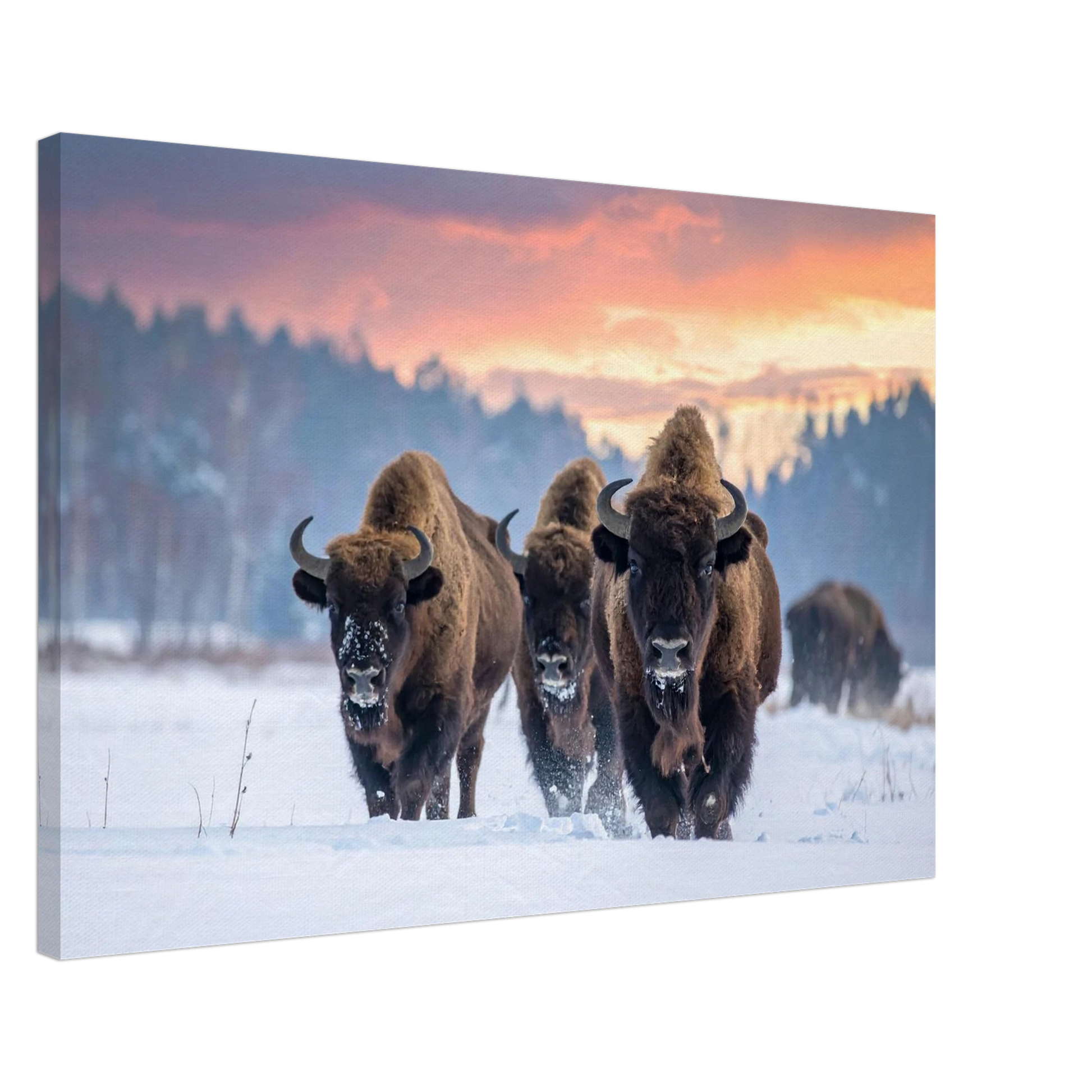 6fe5910c-12cd-4fb3-8b7d-725f2815e4d7