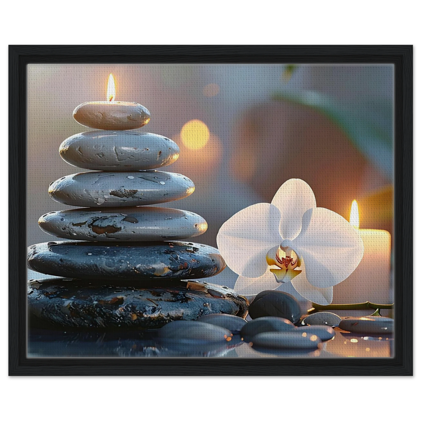 70ef6f08-bc3b-4b07-aa63-cb95a3ddde07