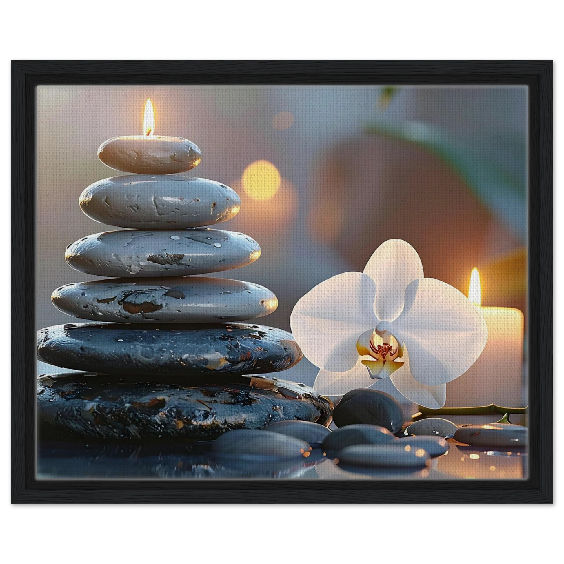 70ef6f08-bc3b-4b07-aa63-cb95a3ddde07