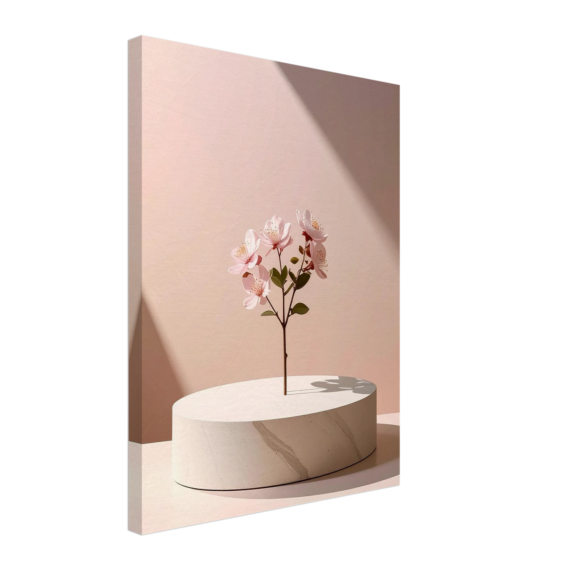 71505f88-b0ff-4377-9122-c0527b25a2b5