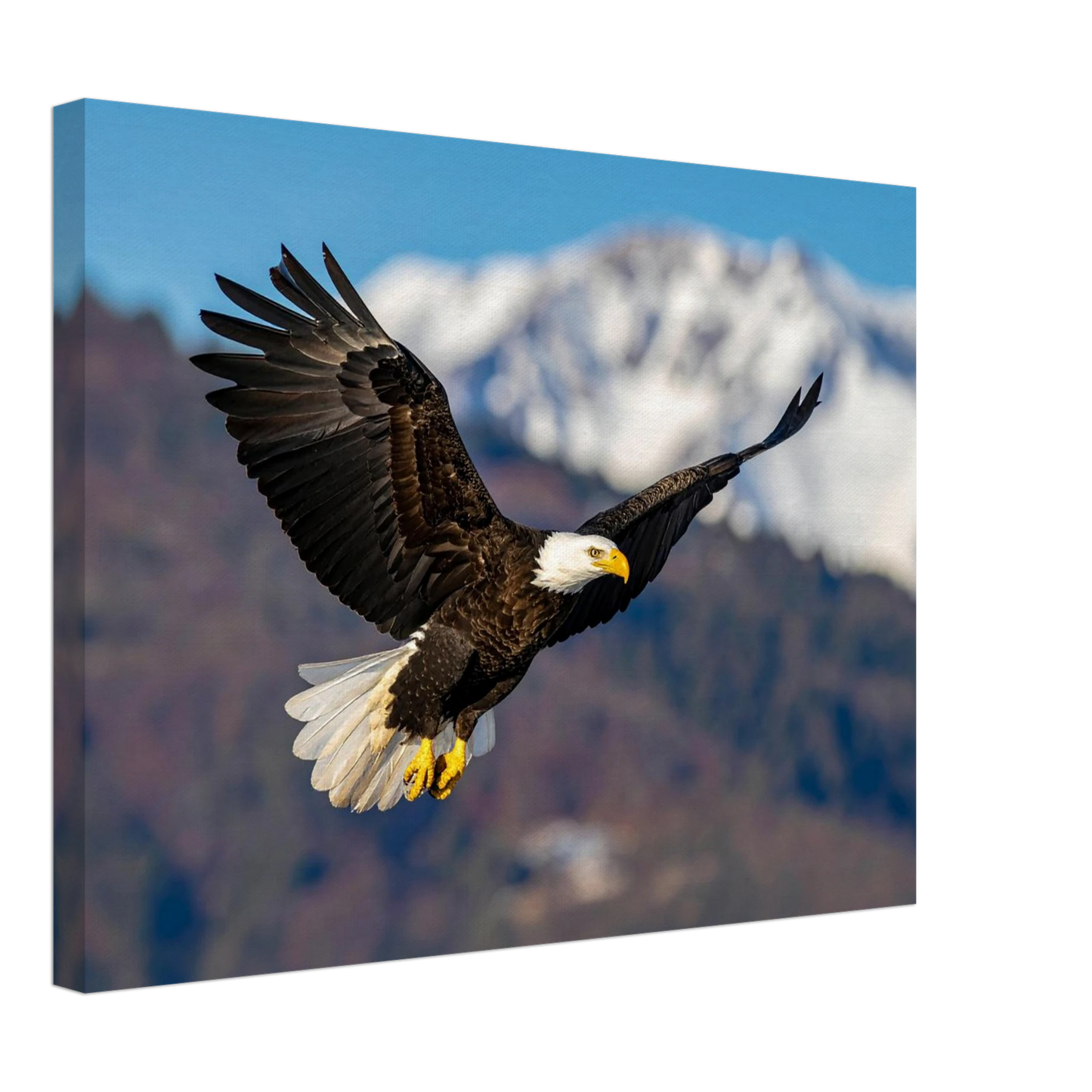 76bd8e97-15e0-49ab-b074-68d249208b2b