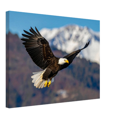 76bd8e97-15e0-49ab-b074-68d249208b2b