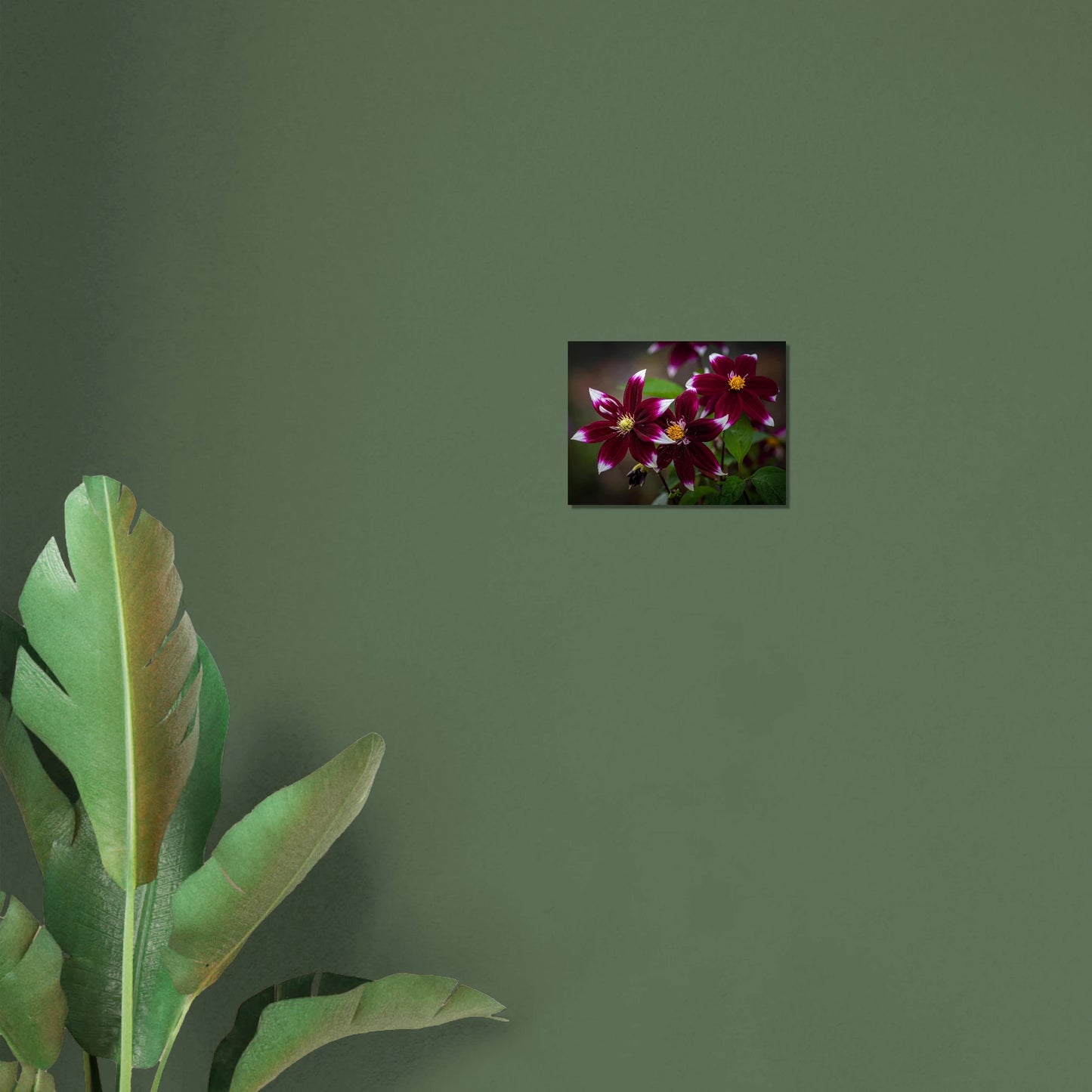 7900a17e-91db-4023-922b-b625e64f7c4c