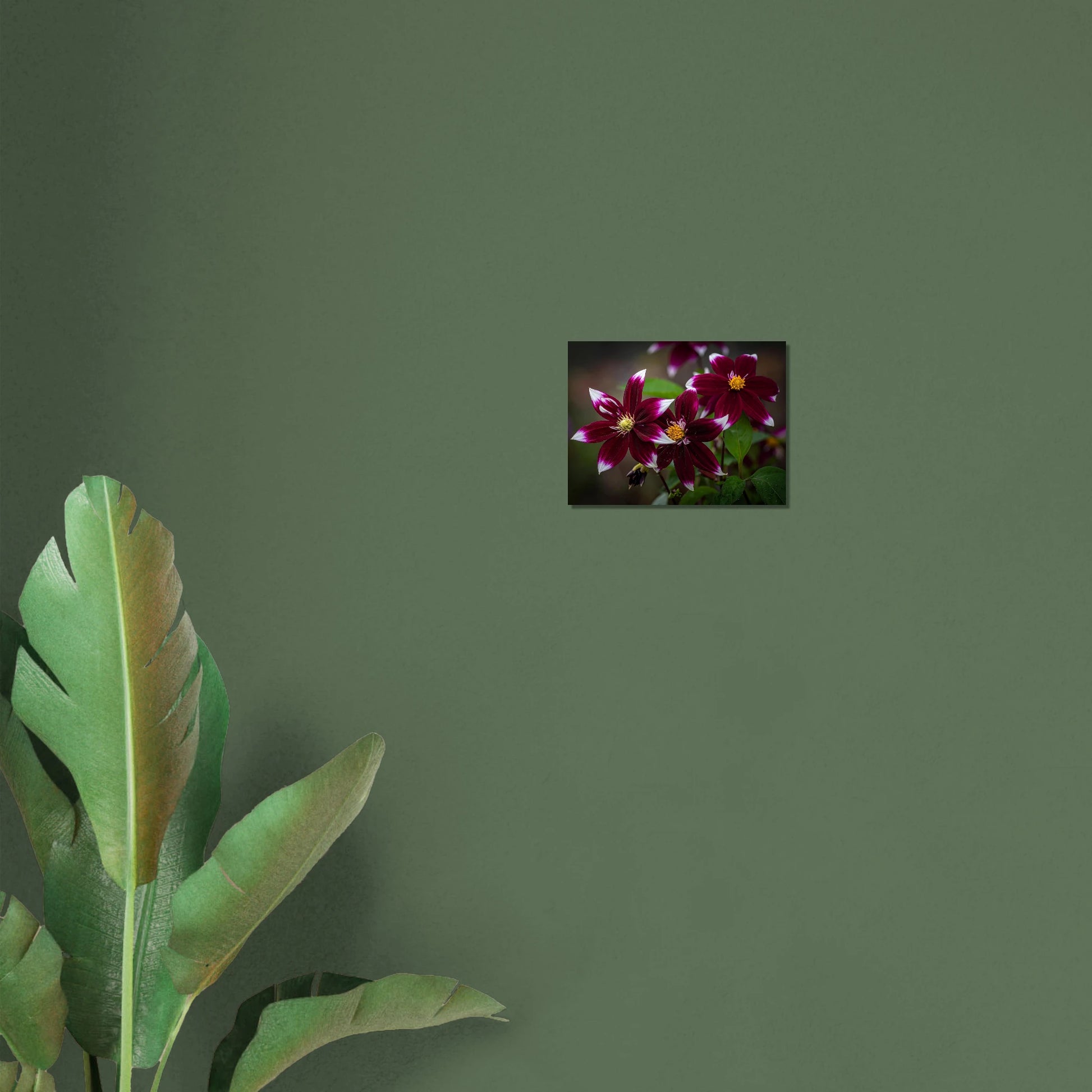 7900a17e-91db-4023-922b-b625e64f7c4c