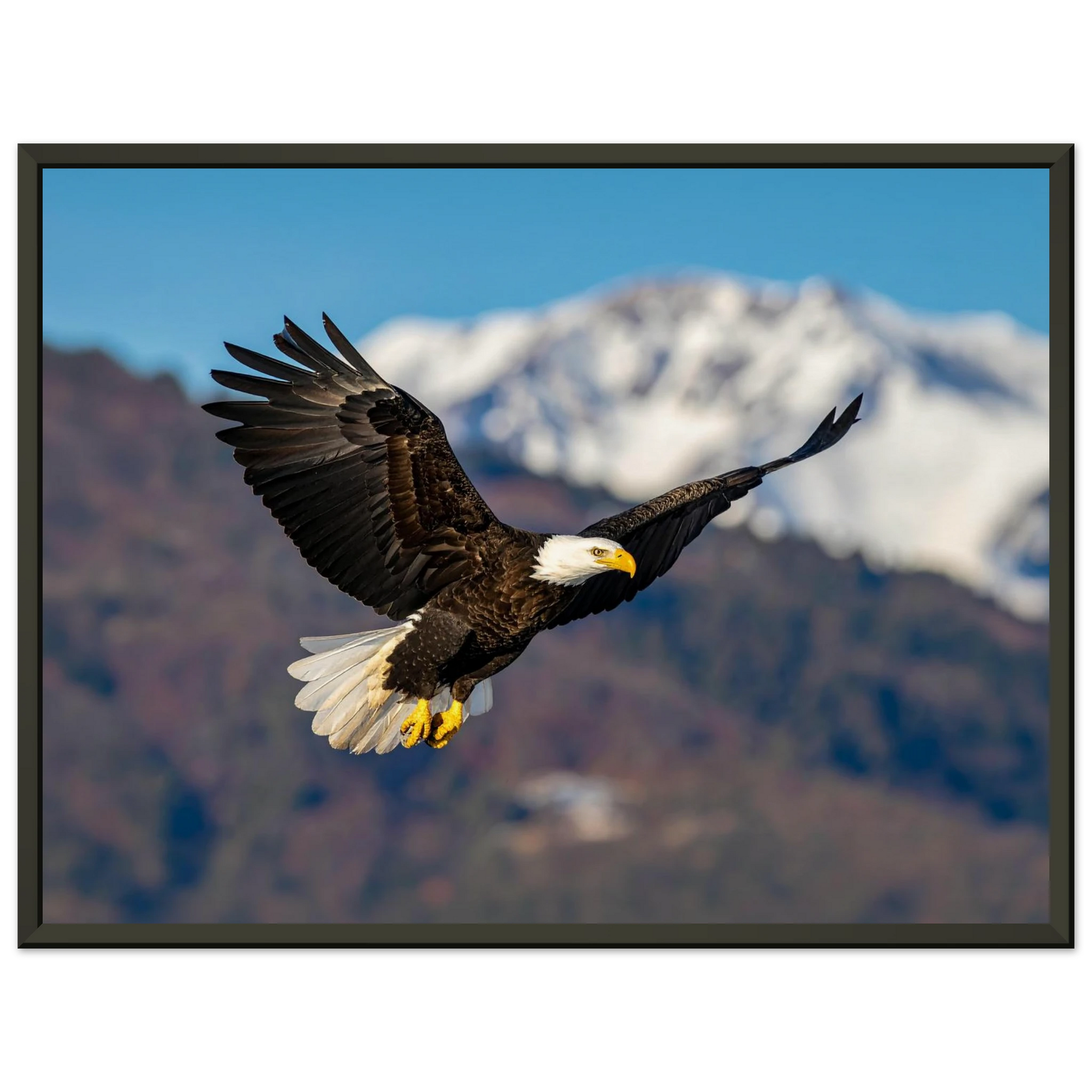 7bd847f1-2f45-4641-84a7-7c91b15eb3aa
