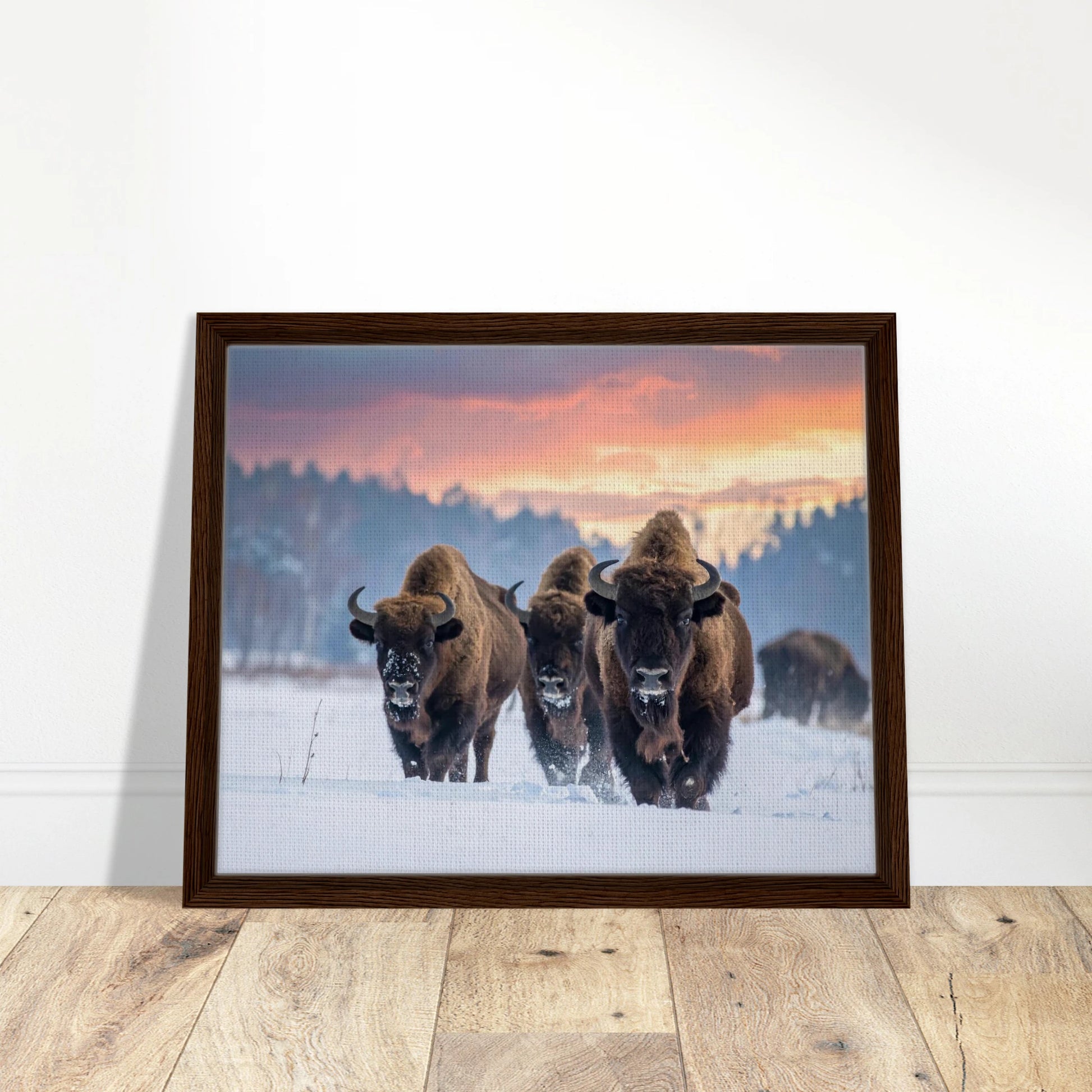 7c013c03-17ab-4ae5-a96a-e53cff4a52cb