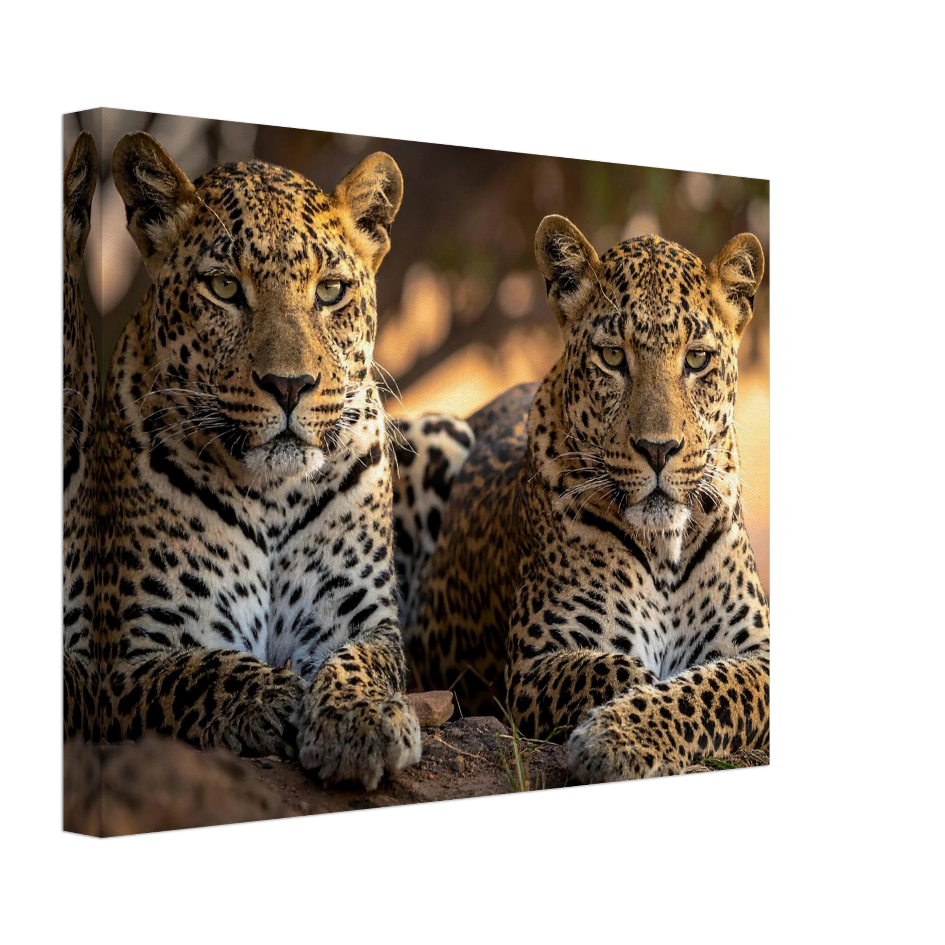 7c750ca0-1918-4da3-8ddd-73f35482d328