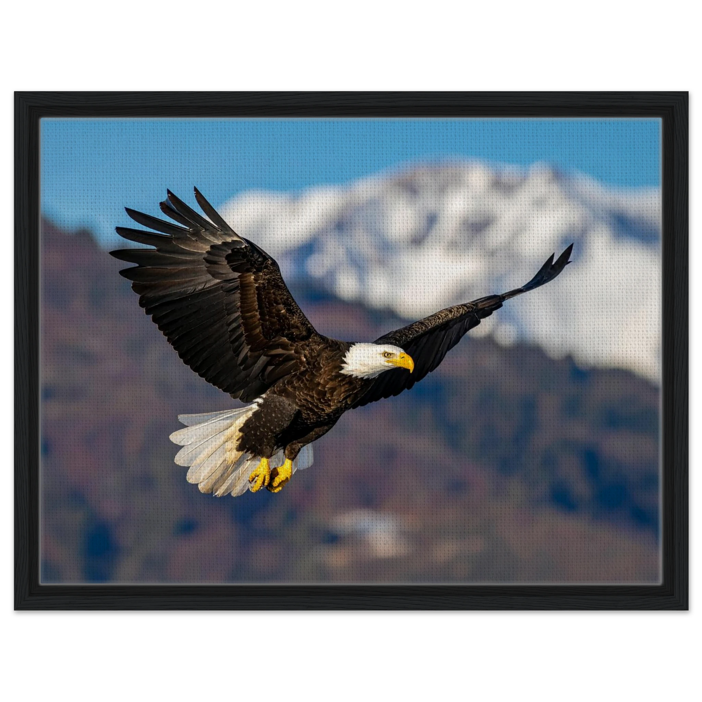 826b15cd-e635-4811-aa65-45c694fc0b20