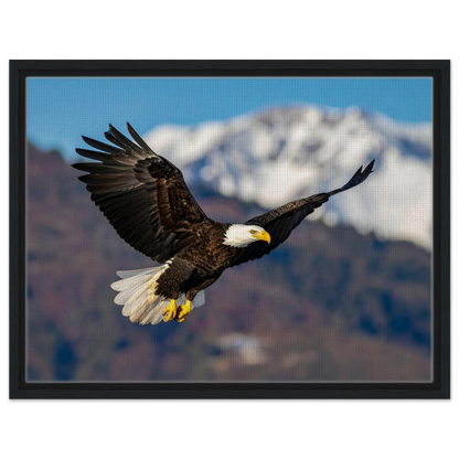 826b15cd-e635-4811-aa65-45c694fc0b20