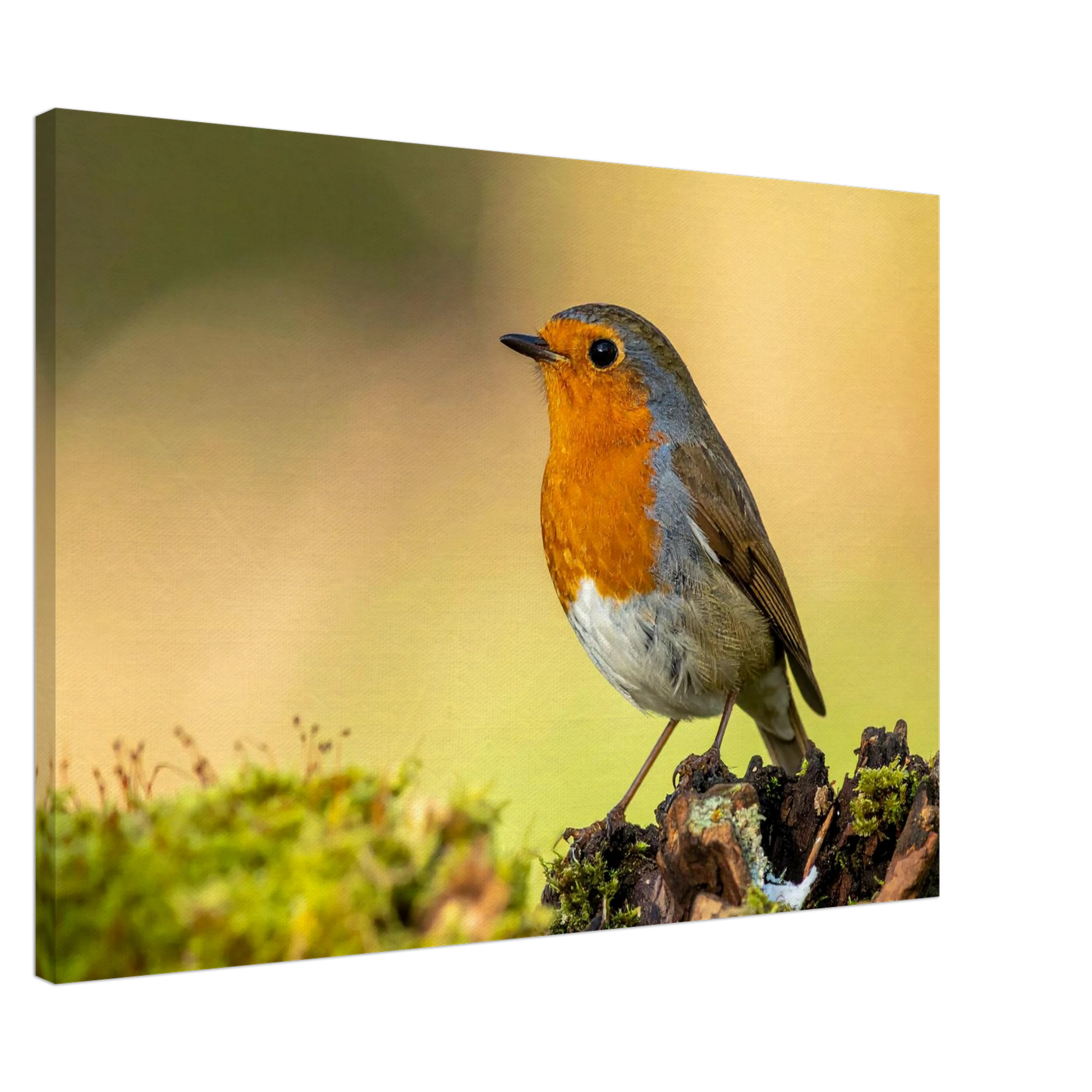 83103bbd-9847-4cf0-9430-ca2ef5ae34d1