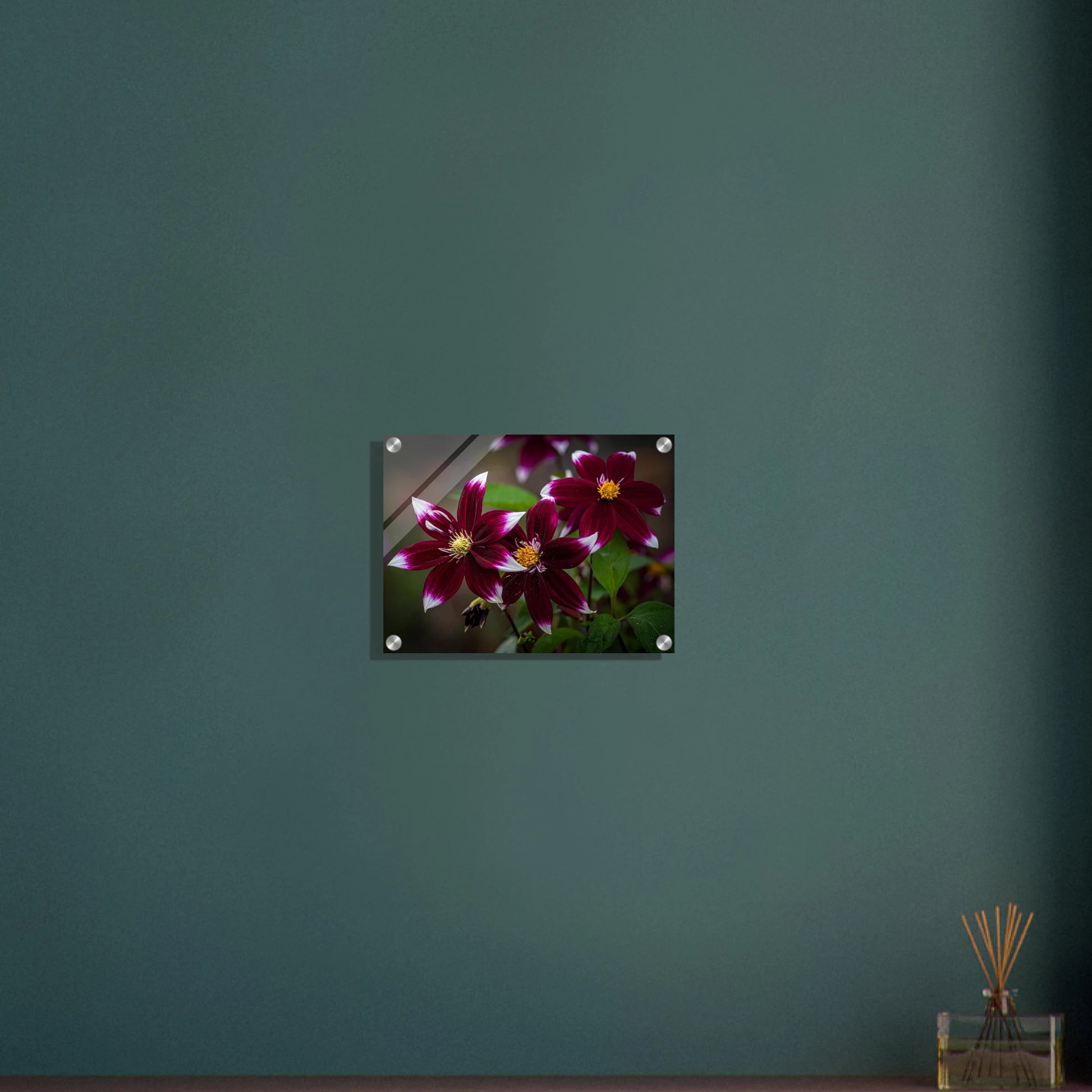 866d714d-f725-48a5-bf6e-b2e19b7404e6