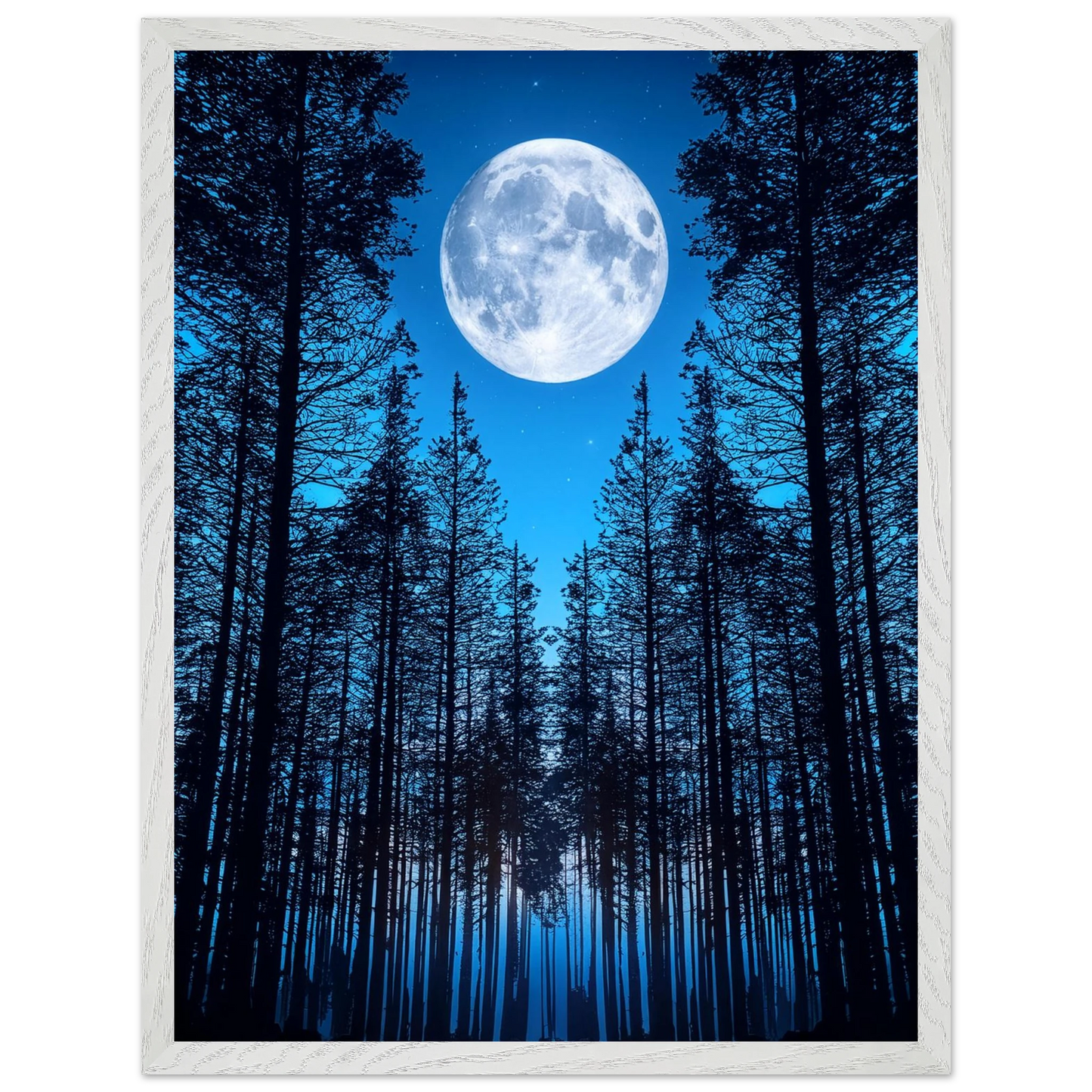 882b2556-a728-448c-8bc1-f4a44f55c180