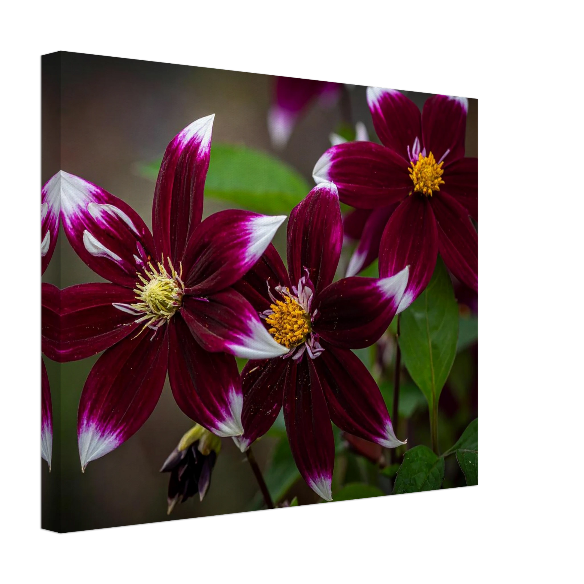 8a53ffcc-14f0-4f29-abb0-3f535c4160ba