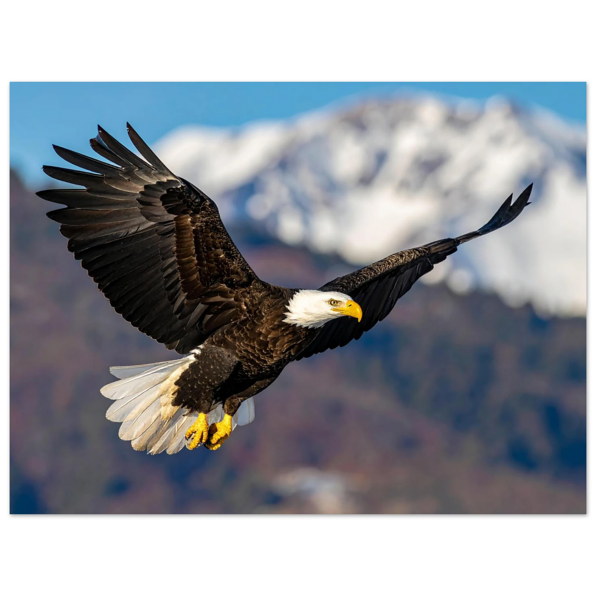 8c1a781b-7b74-4dce-aaf1-7990637cbe4d