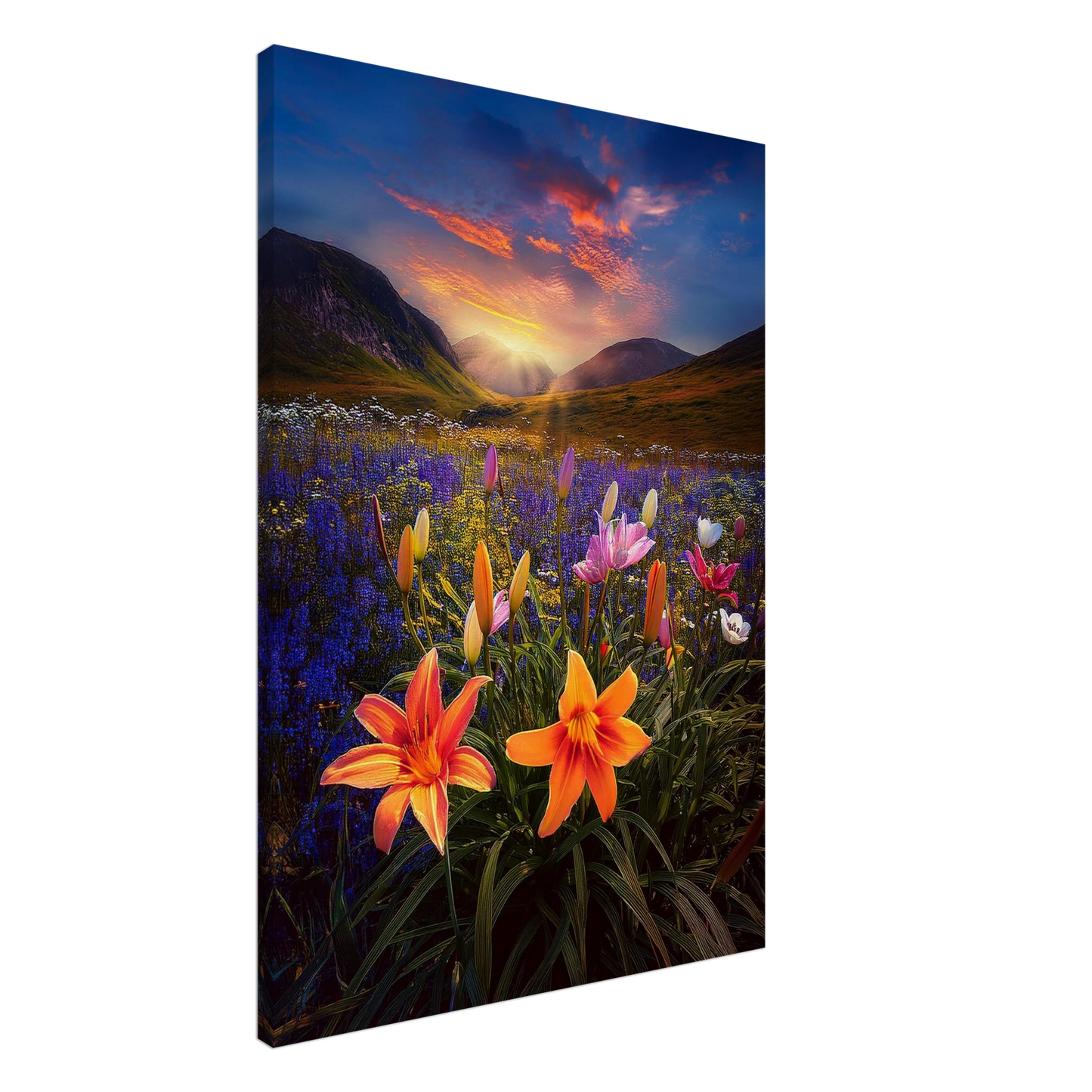 8cb1b270-f6b2-4ed3-823d-34ef267e202e